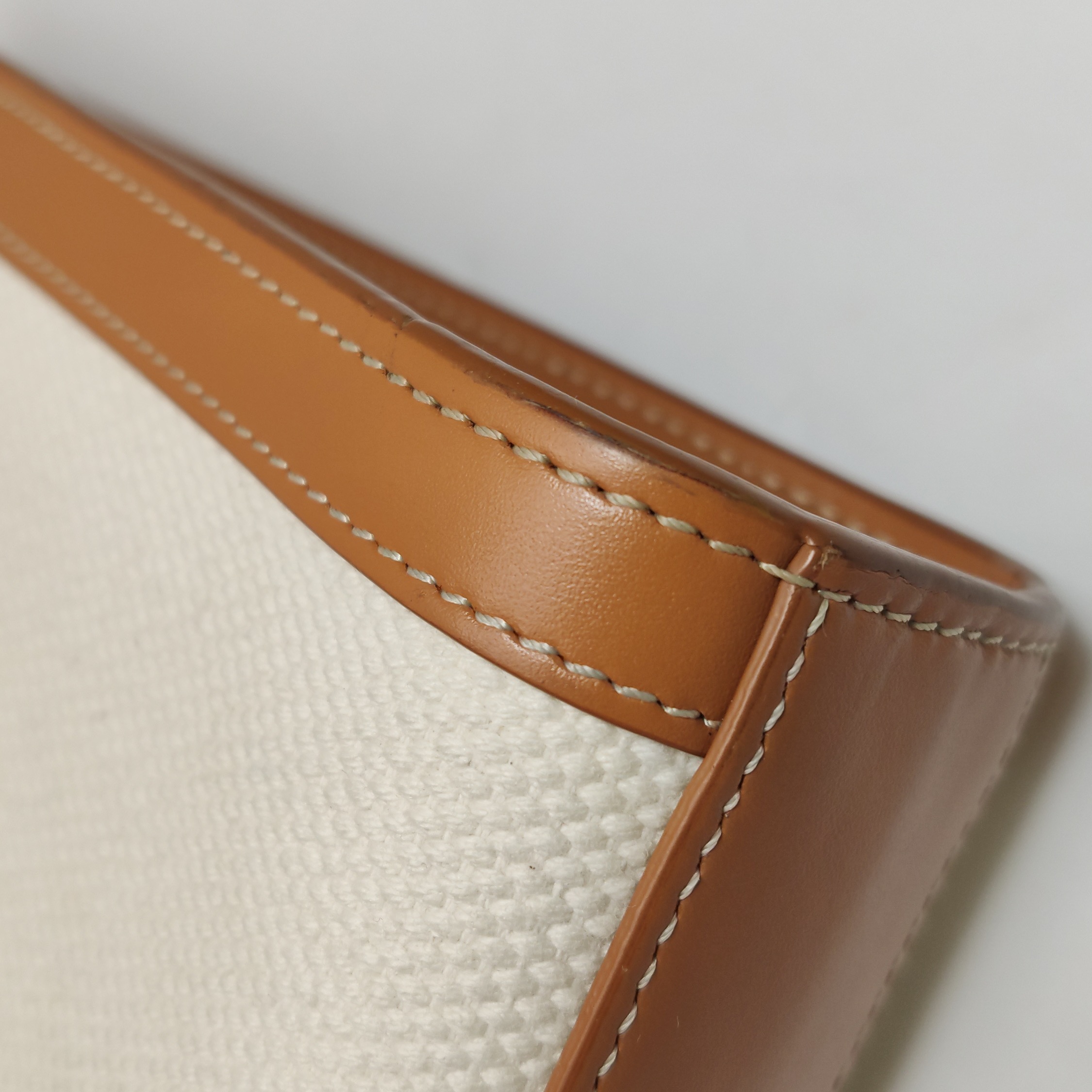 Celine Vertical Cabas Tote Canvas with Leather Mini — photo 10 of 15