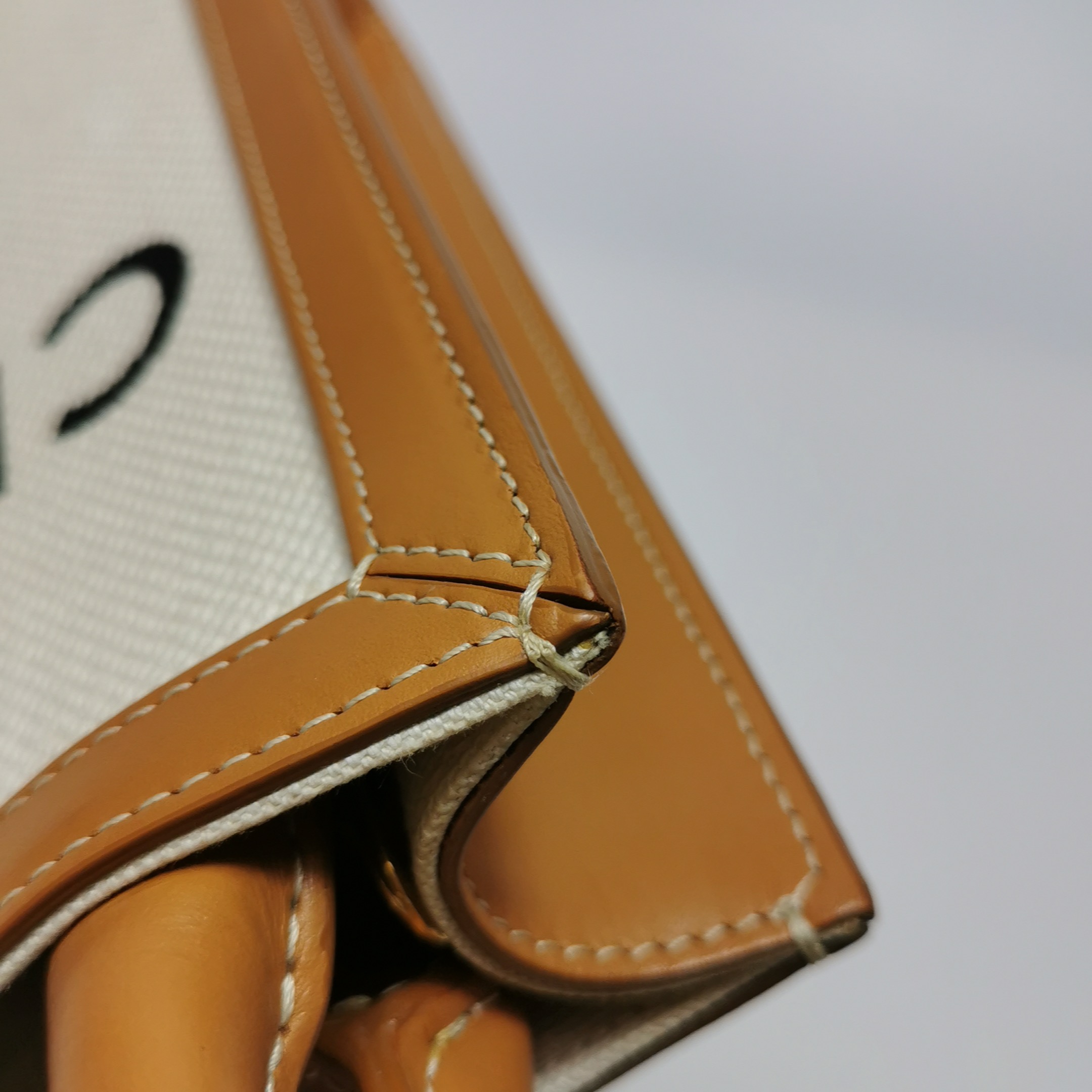 Celine Vertical Cabas Tote Canvas with Leather Mini — photo 9 of 14