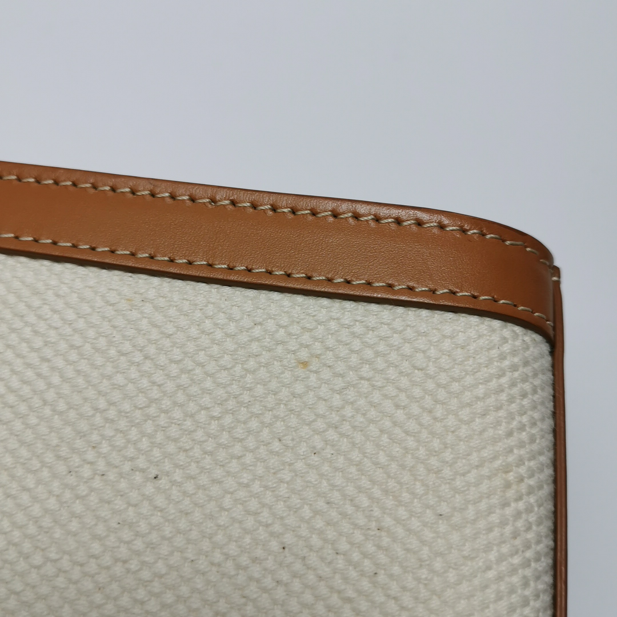 Celine Vertical Cabas Tote Canvas with Leather Mini — photo 11 of 14