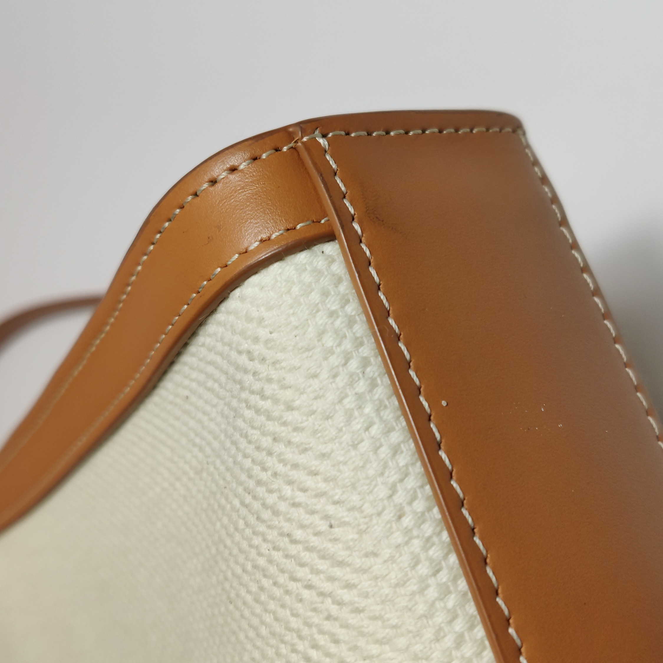 Celine Vertical Cabas Tote Canvas with Leather Mini — photo 13 of 14