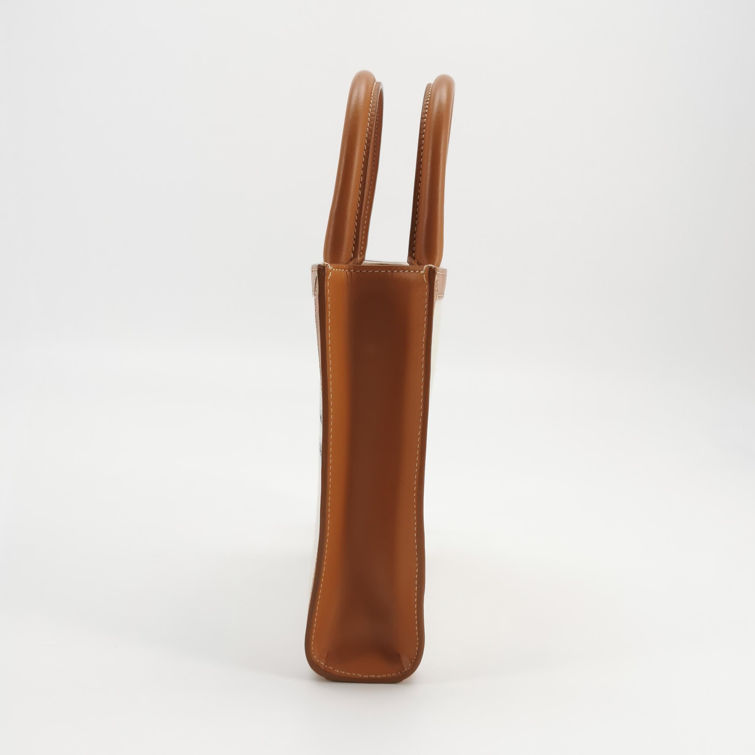 Celine Vertical Cabas Tote Canvas with Leather Mini — photo 4 of 12