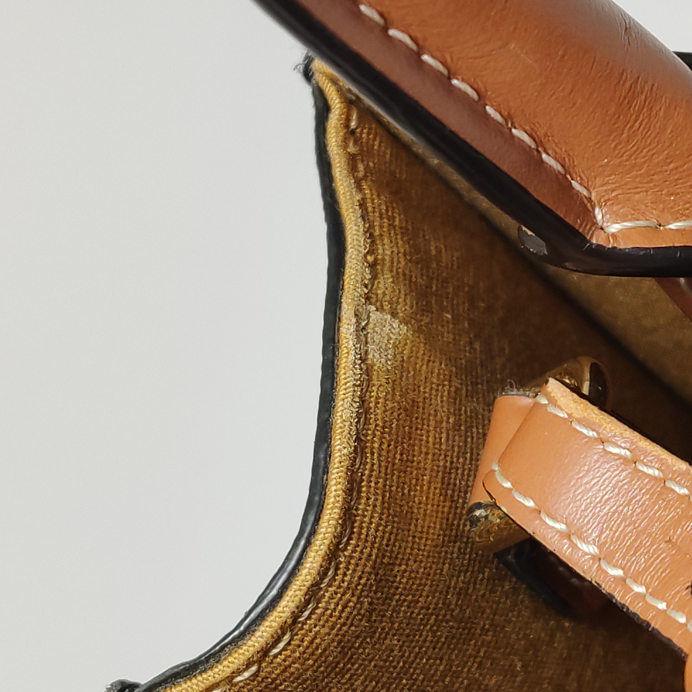 Celine Vertical Cabas Tote Triomphe Coated Canvas Mini — photo 8 of 12