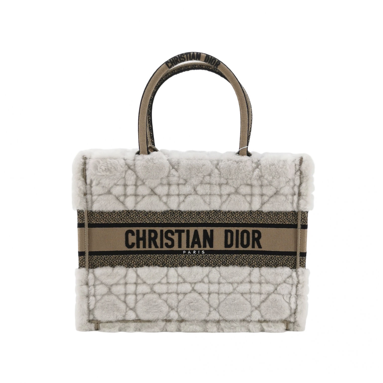 Christian Dior Book Tote Embroidered Canvas Medium — photo 1 of 19