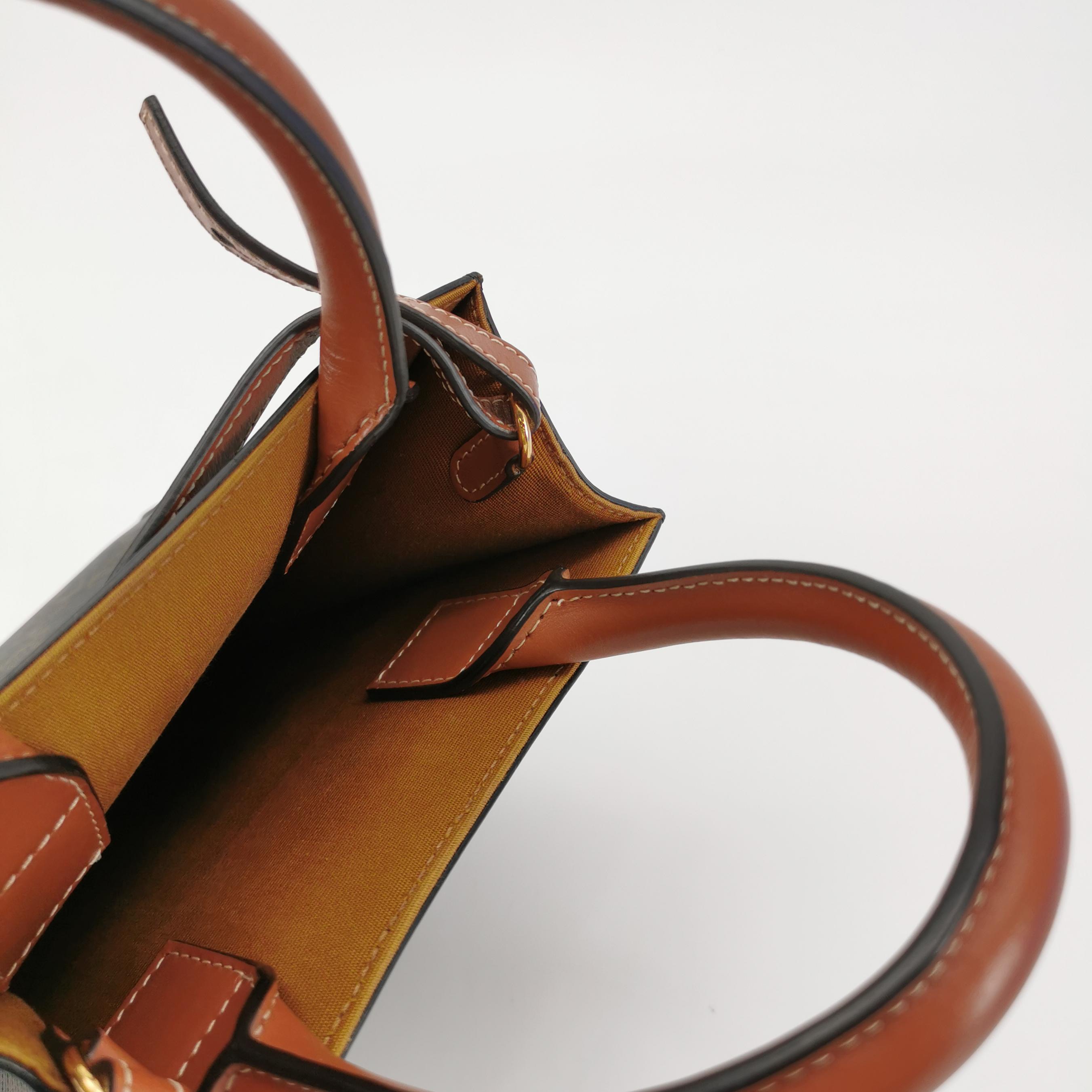 Celine Vertical Cabas Tote Triomphe Coated Canvas Mini — photo 7 of 15