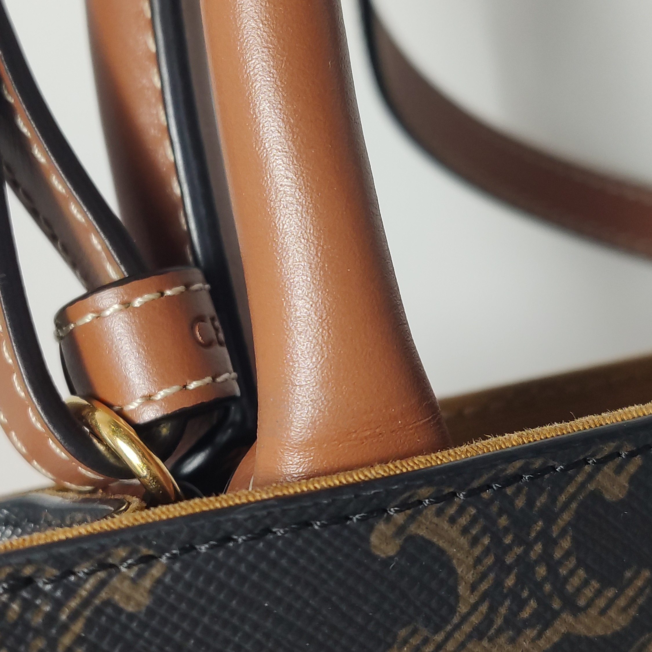 Celine Vertical Cabas Tote Triomphe Coated Canvas Mini — photo 9 of 15