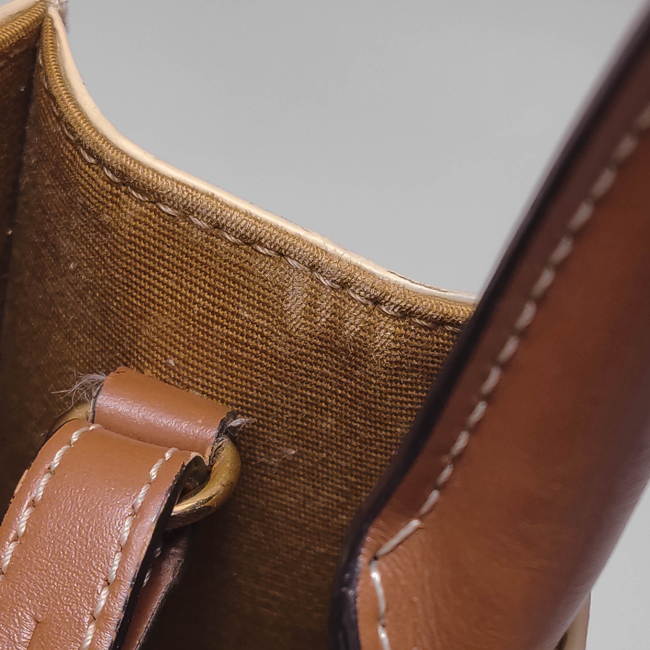 Celine Vertical Cabas Tote Triomphe Coated Canvas Mini — photo 9 of 14