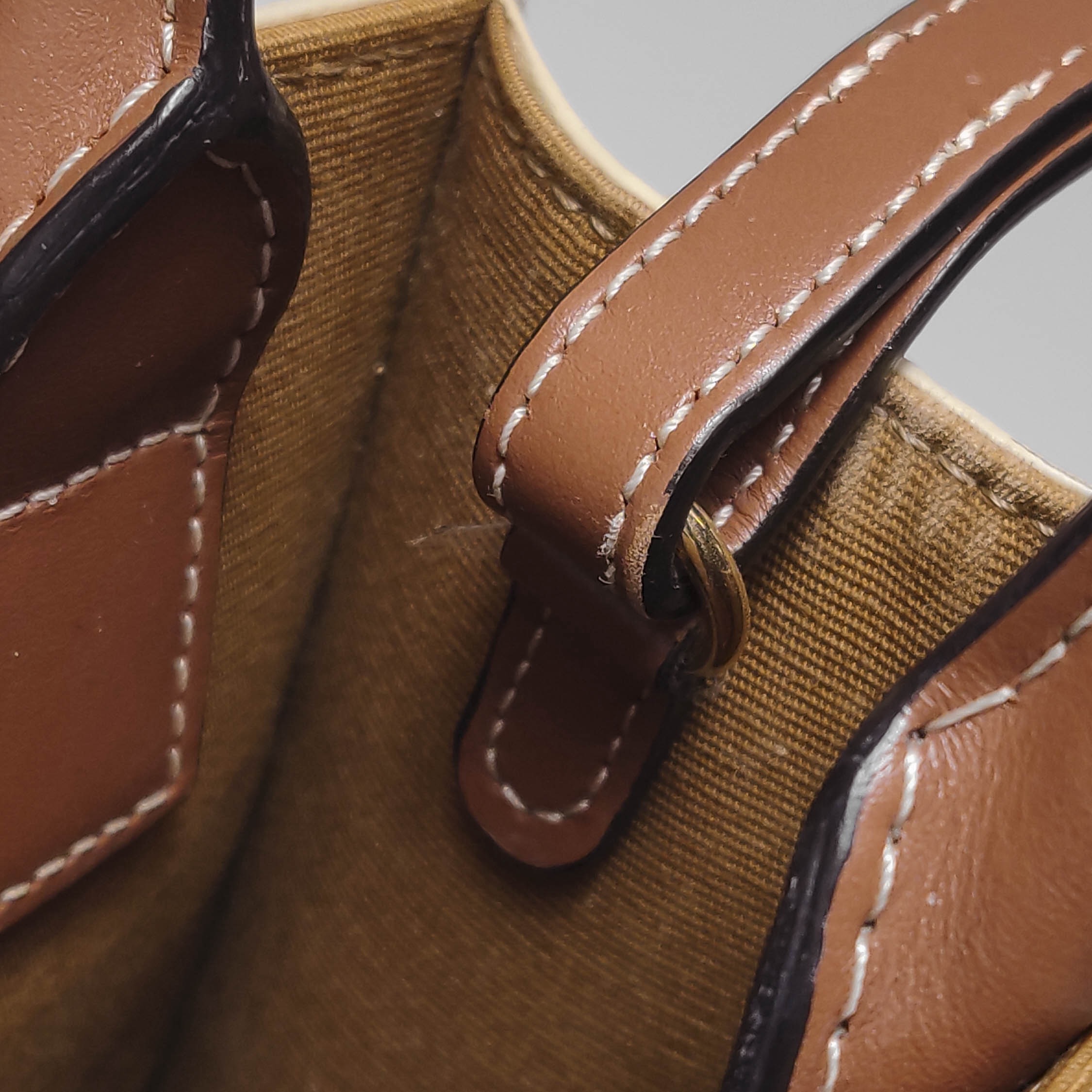 Celine Vertical Cabas Tote Triomphe Coated Canvas Mini — photo 8 of 14