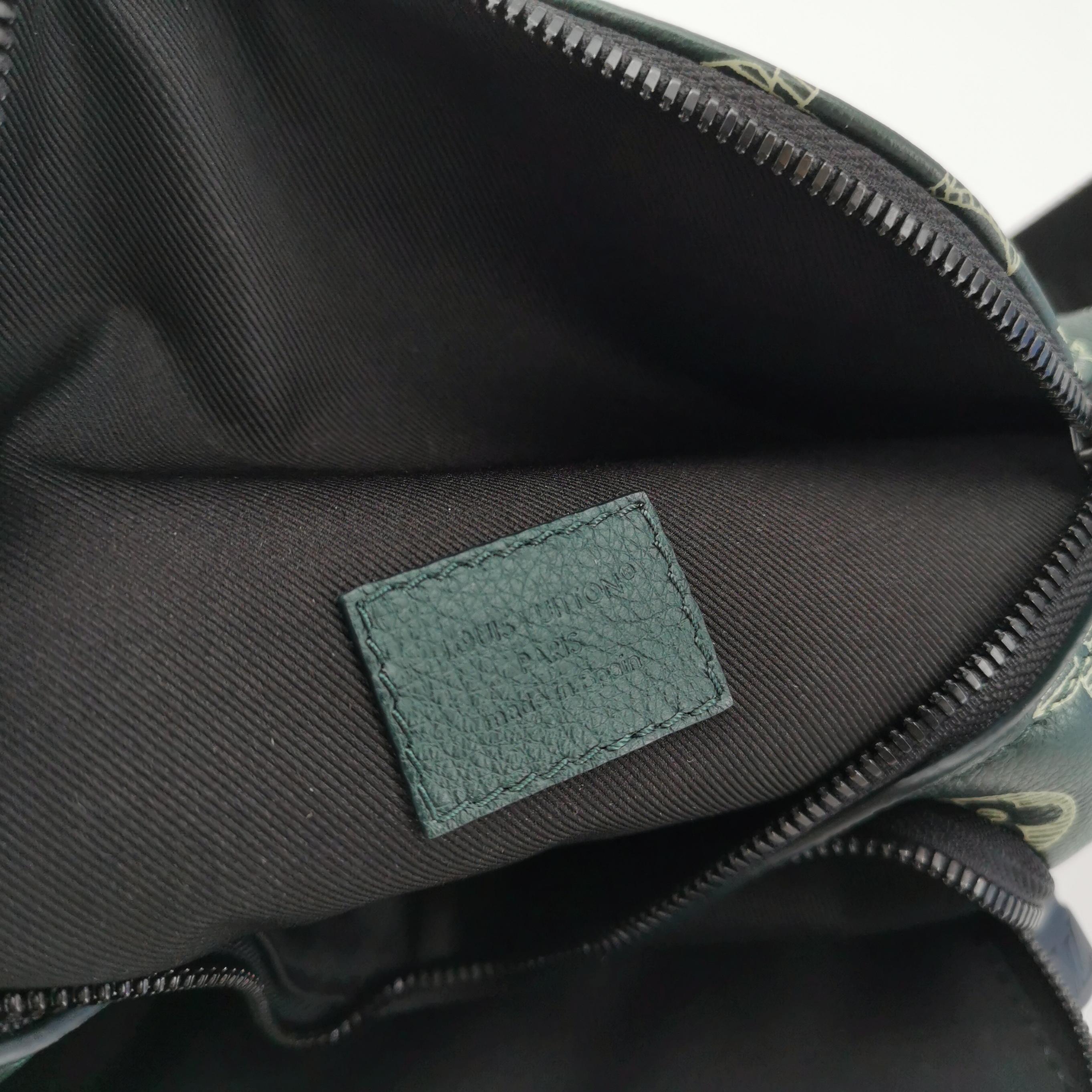 Louis Vuitton(LV) Rush Bumbag Monogram Shadow Leather — photo 8 of 15