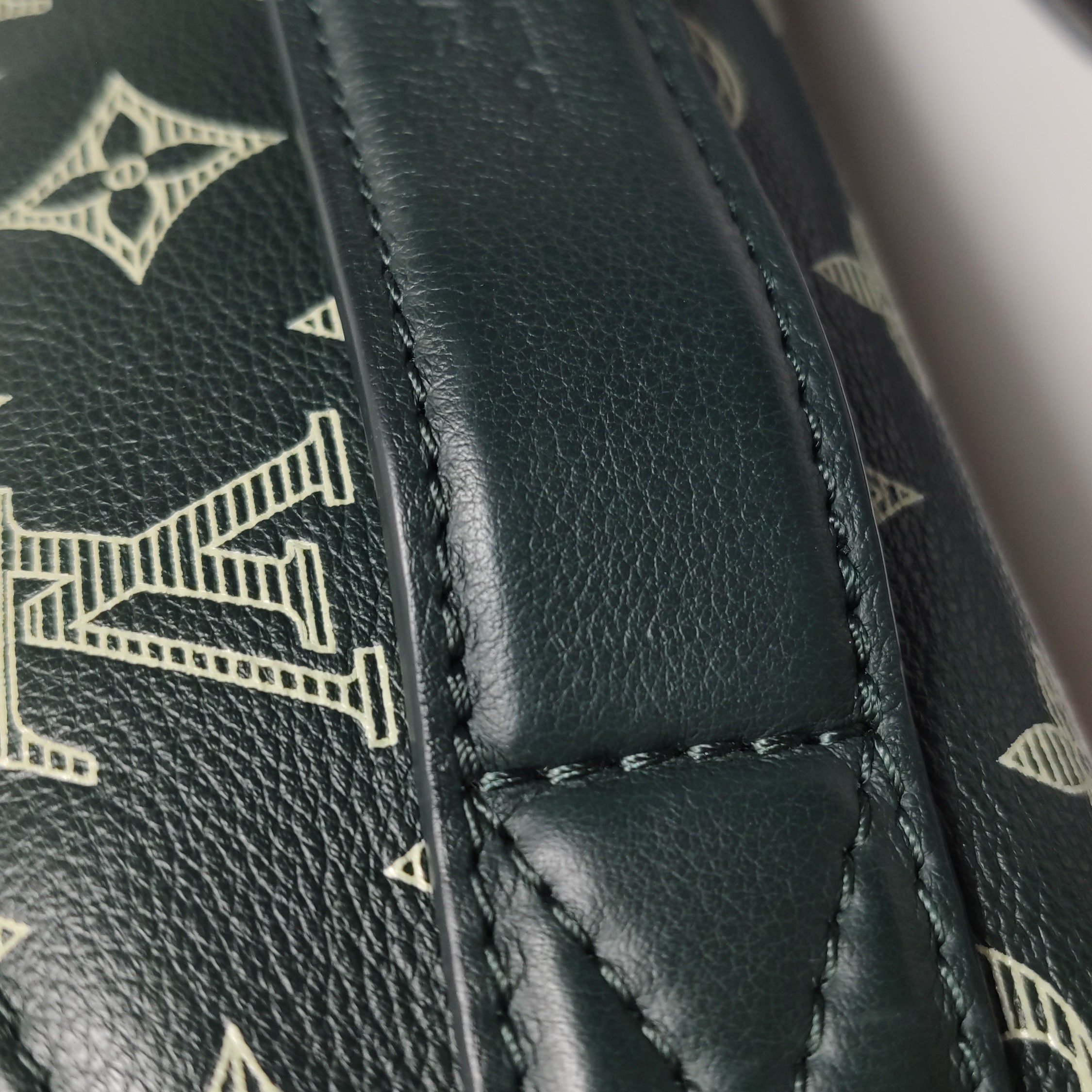 Louis Vuitton(LV) Rush Bumbag Monogram Shadow Leather — photo 13 of 15