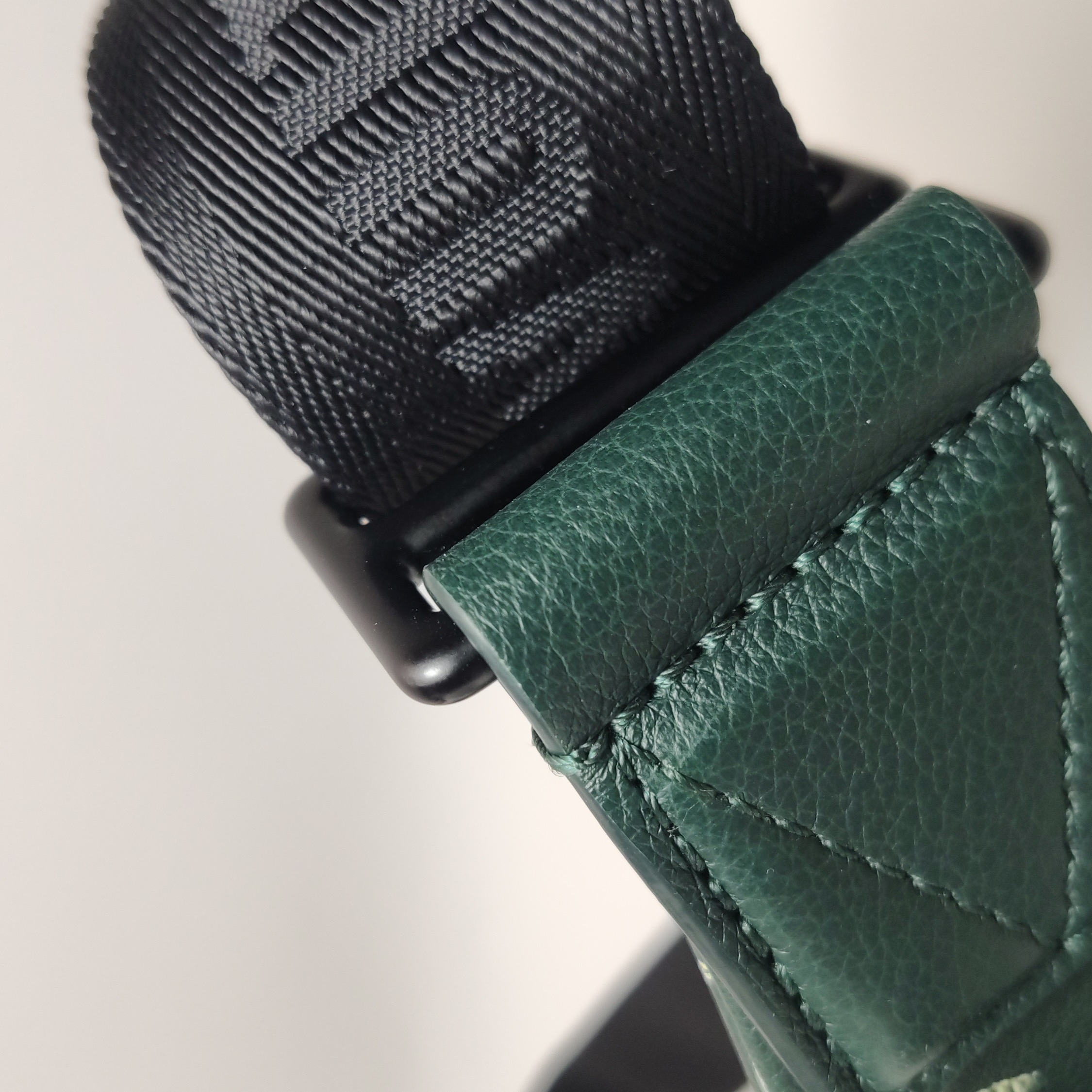 Louis Vuitton(LV) Rush Bumbag Monogram Shadow Leather — photo 14 of 15