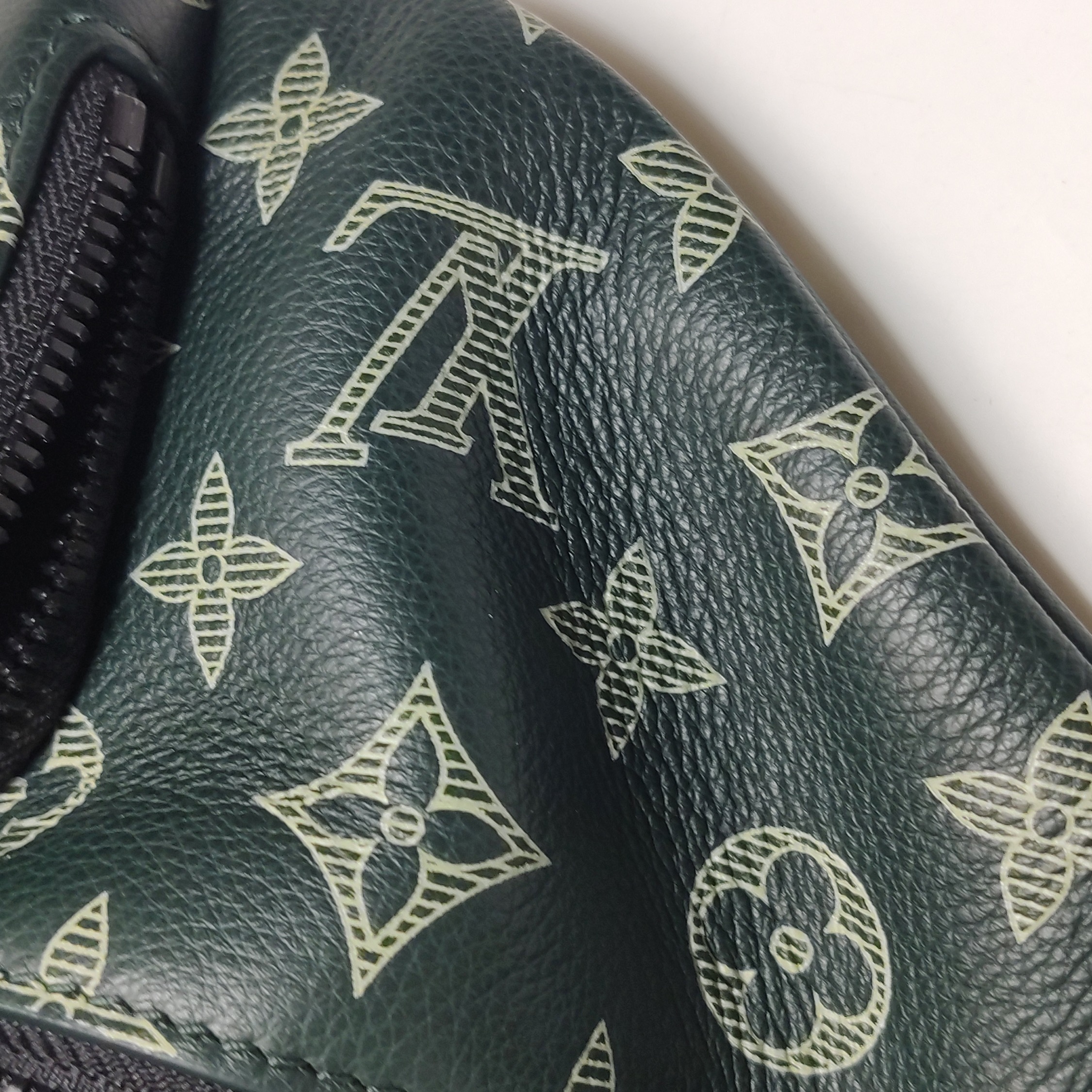 Louis Vuitton(LV) Rush Bumbag Monogram Shadow Leather — photo 12 of 15
