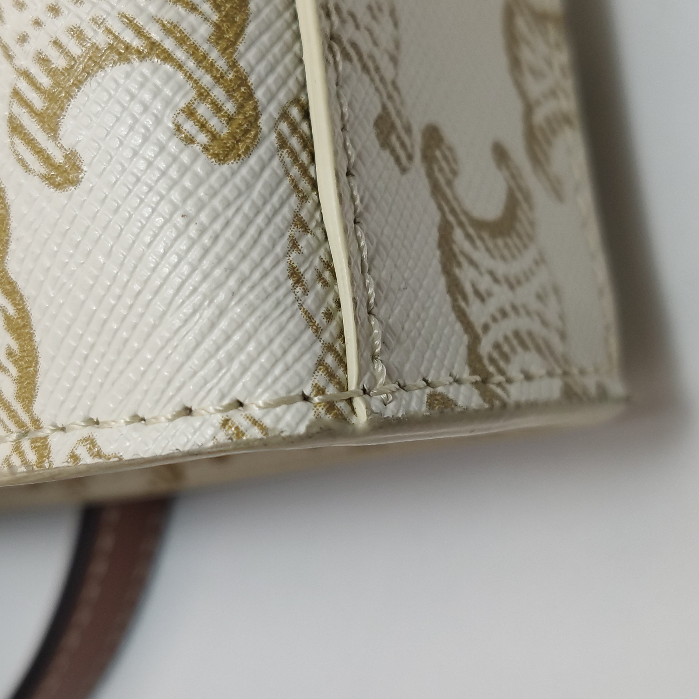 Celine Vertical Cabas Tote Triomphe Coated Canvas Mini — photo 10 of 14