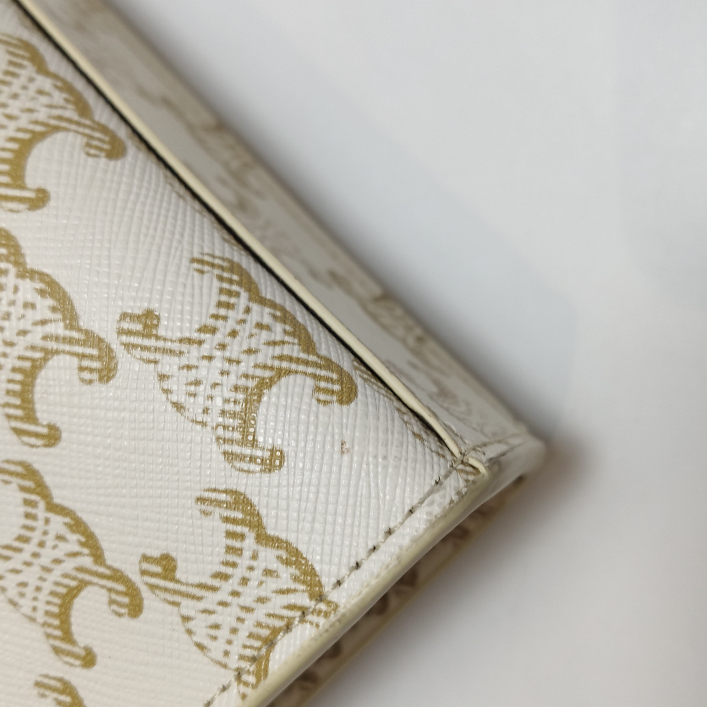 Celine Vertical Cabas Tote Triomphe Coated Canvas Mini — photo 10 of 13