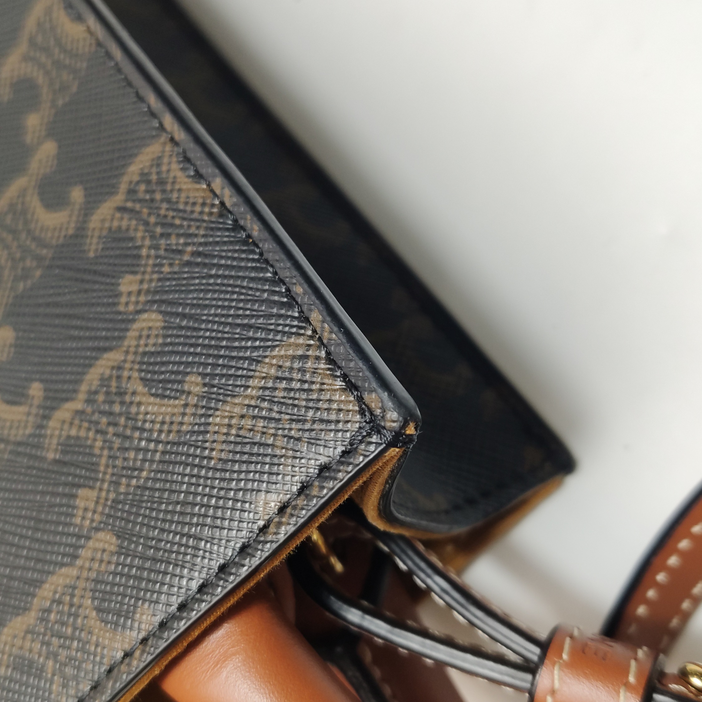 Celine Vertical Cabas Tote Triomphe Coated Canvas Mini — photo 11 of 15