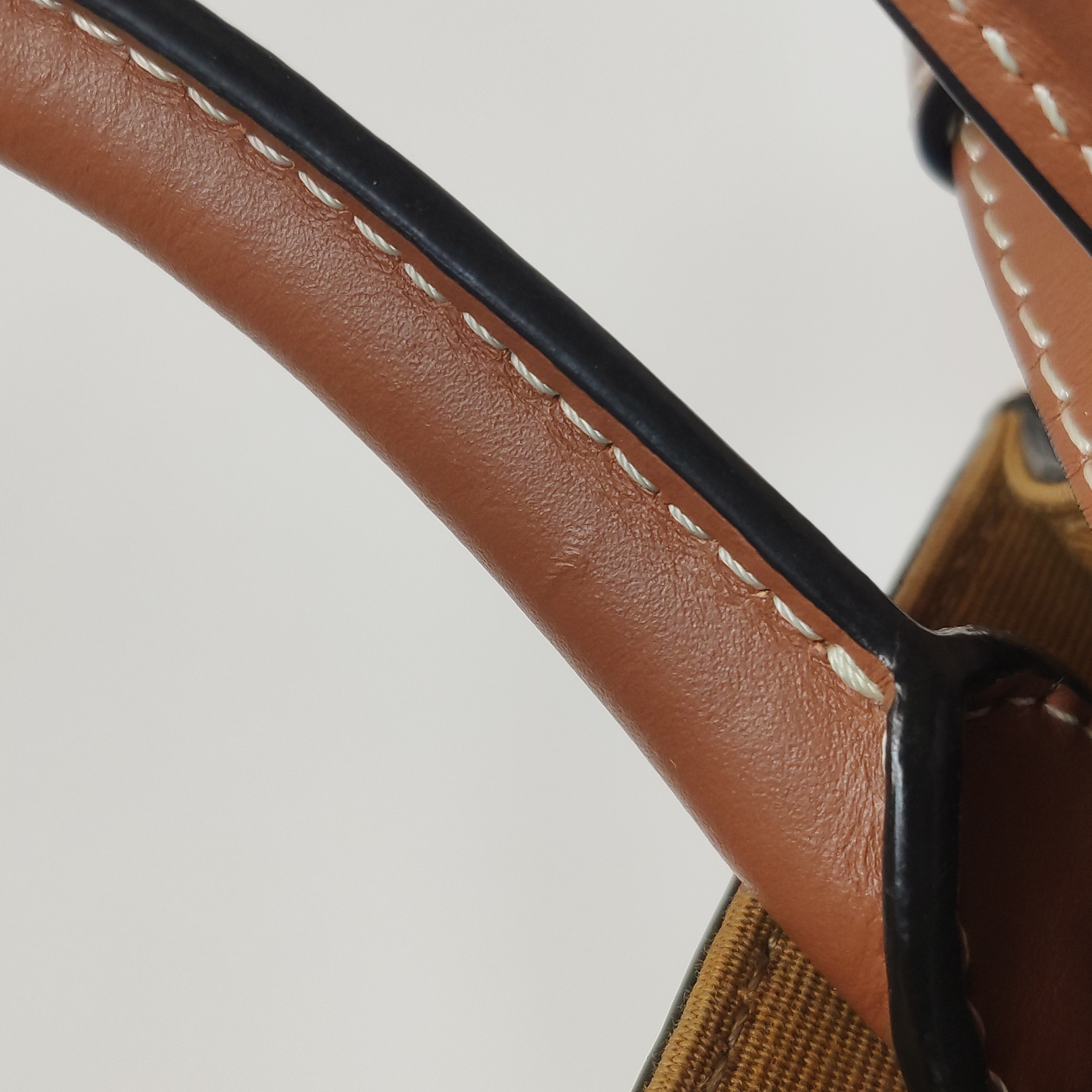 Celine Vertical Cabas Tote Triomphe Coated Canvas Mini — photo 11 of 12