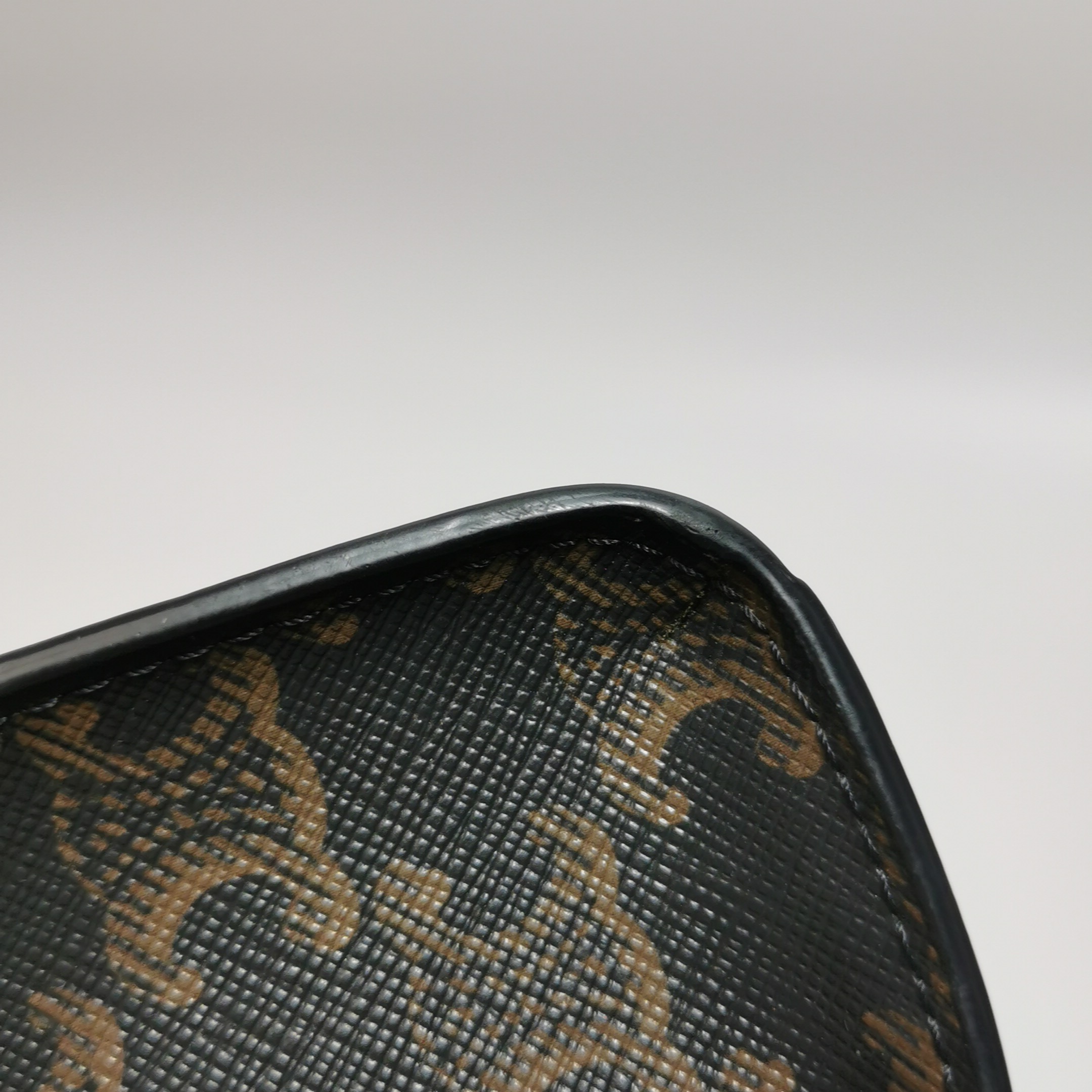 Celine Vertical Cabas Tote Triomphe Coated Canvas Mini — photo 12 of 14