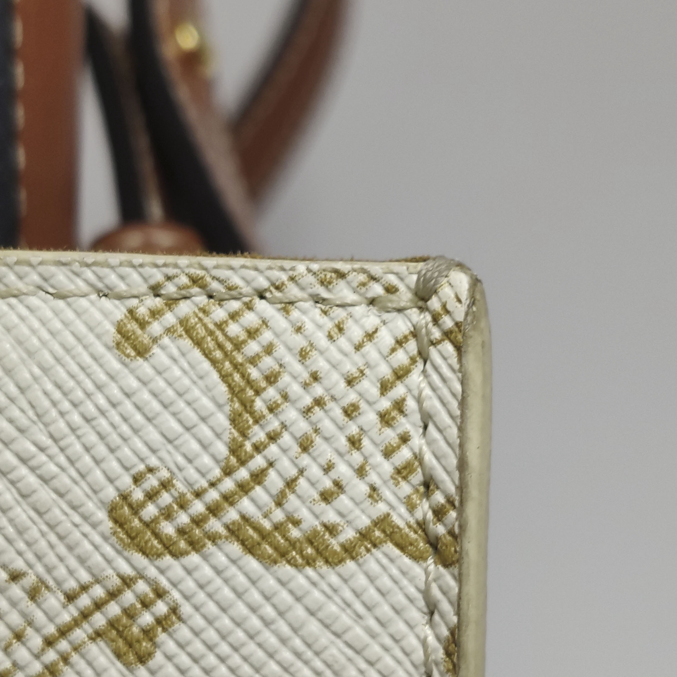 Celine Vertical Cabas Tote Triomphe Coated Canvas Mini — photo 8 of 13