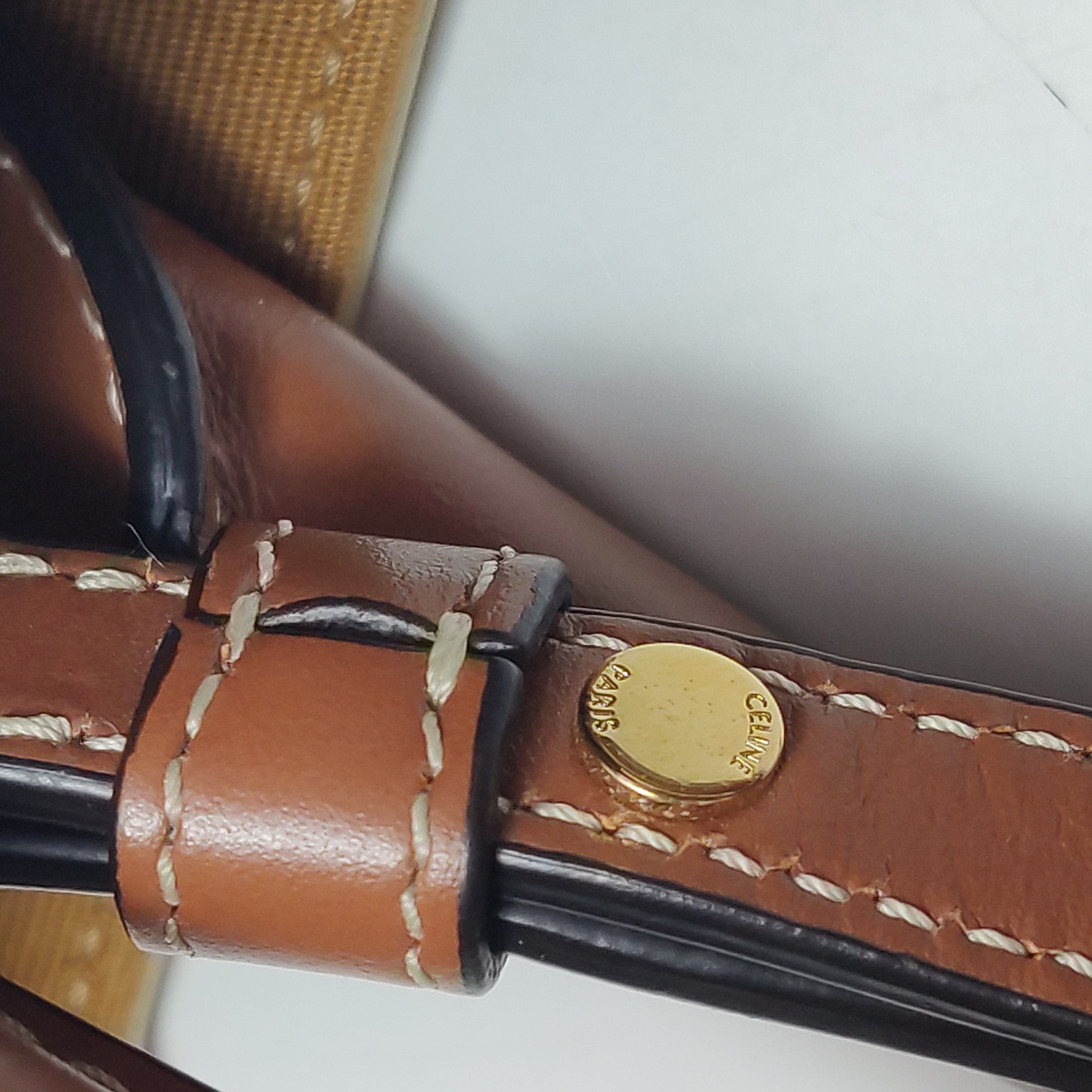 Celine Vertical Cabas Tote Triomphe Coated Canvas Mini — photo 11 of 14