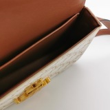 Celine Triomphe Chain Shoulder Bag Triomphe Coated Canvas Small — thumbnail 7