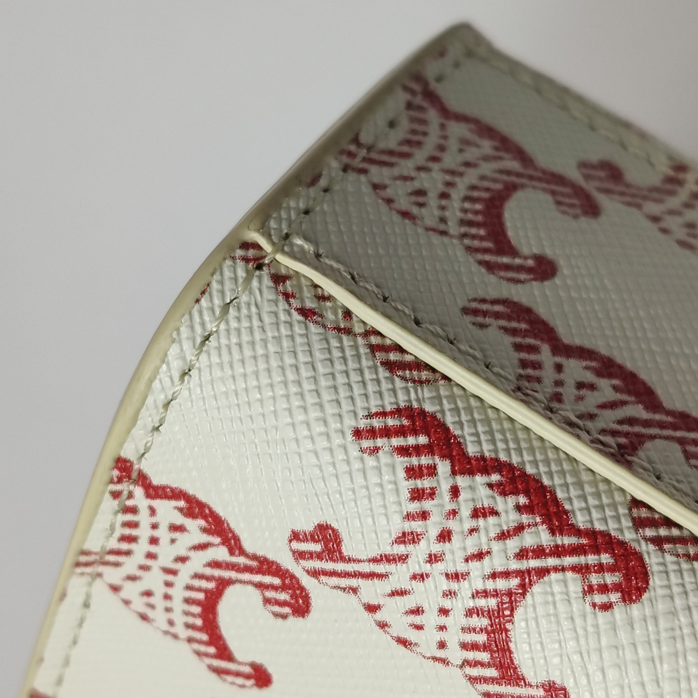 Celine Vertical Cabas Tote Triomphe Coated Canvas Mini — photo 12 of 14