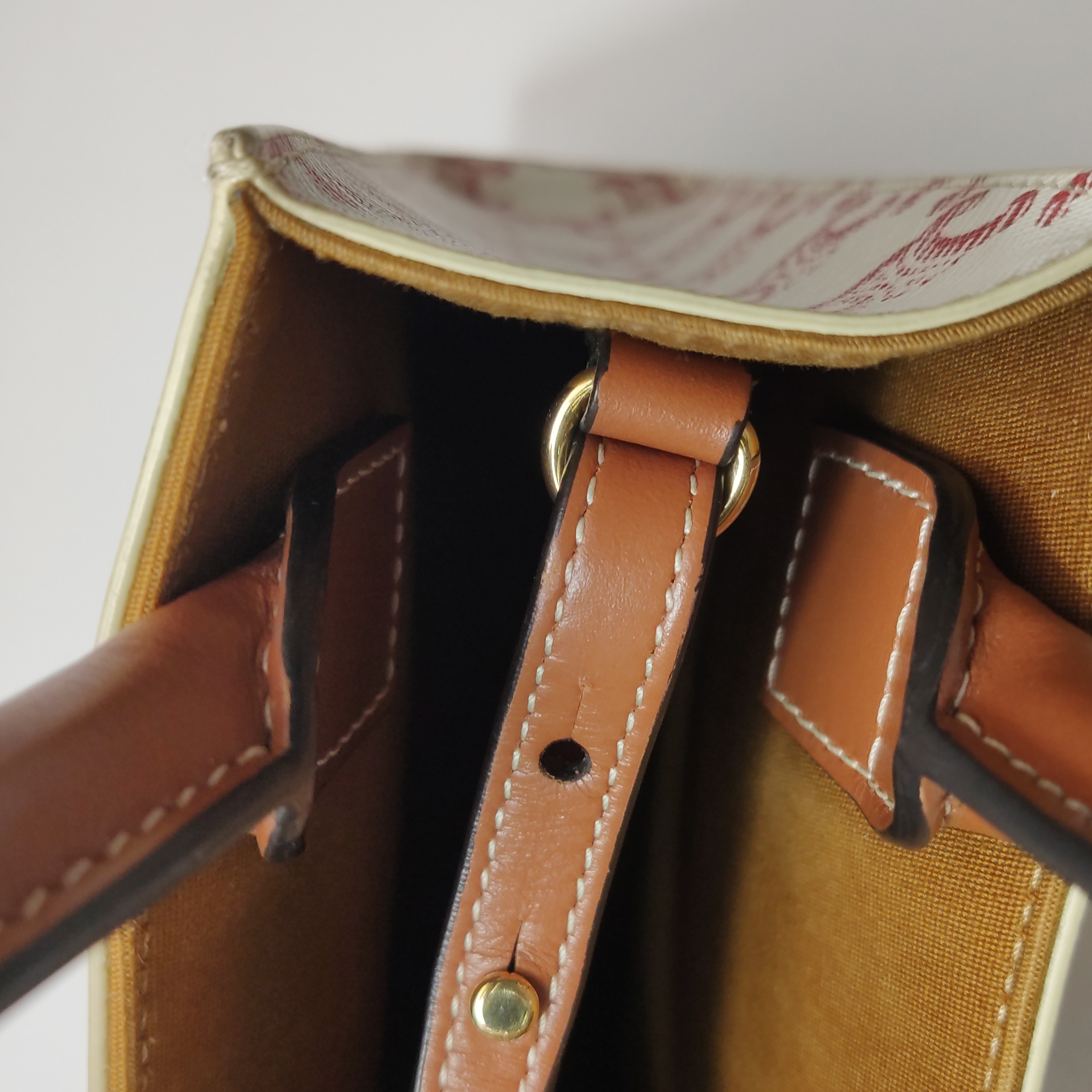 Celine Vertical Cabas Tote Triomphe Coated Canvas Mini — photo 8 of 14
