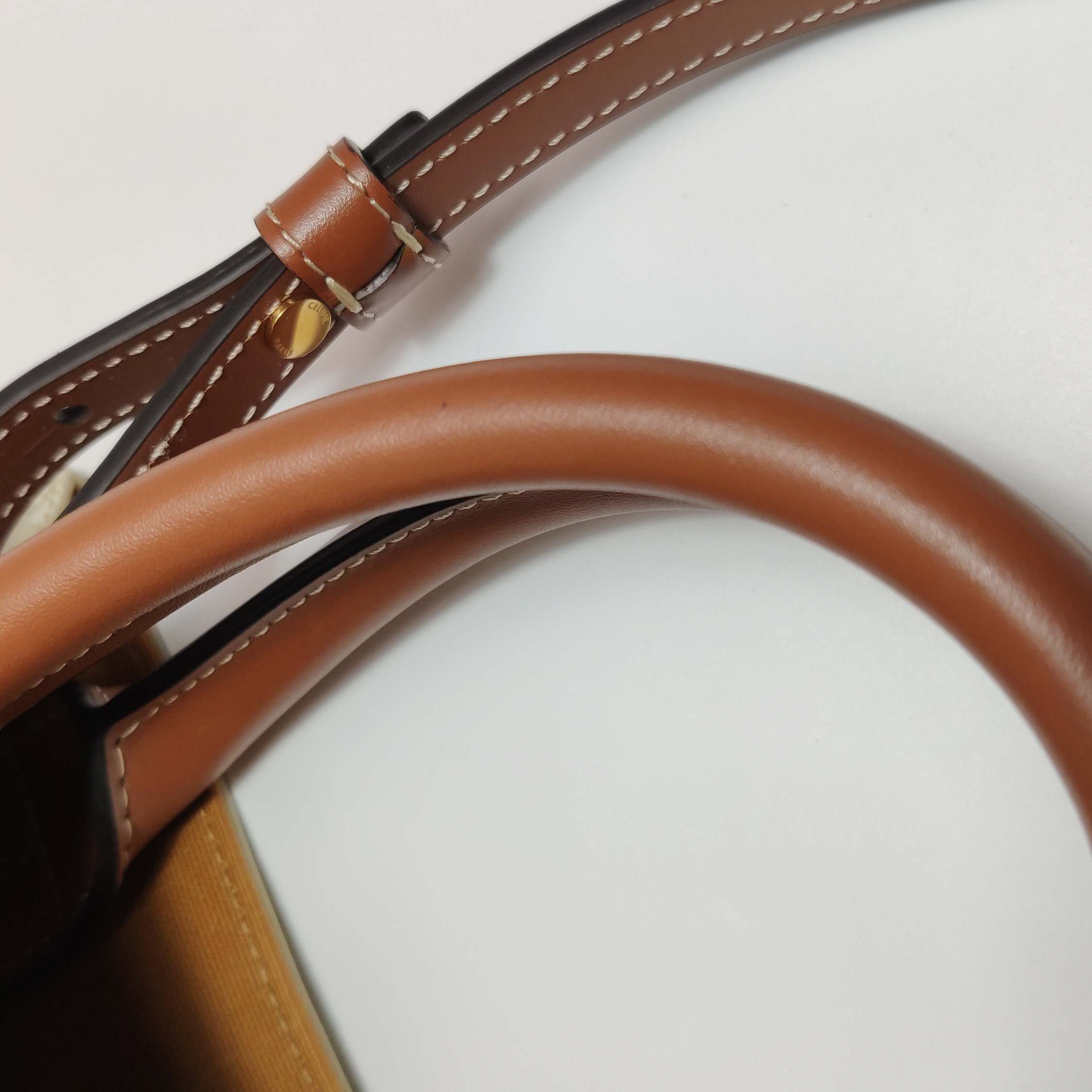 Celine Vertical Cabas Tote Triomphe Coated Canvas Mini — photo 15 of 15