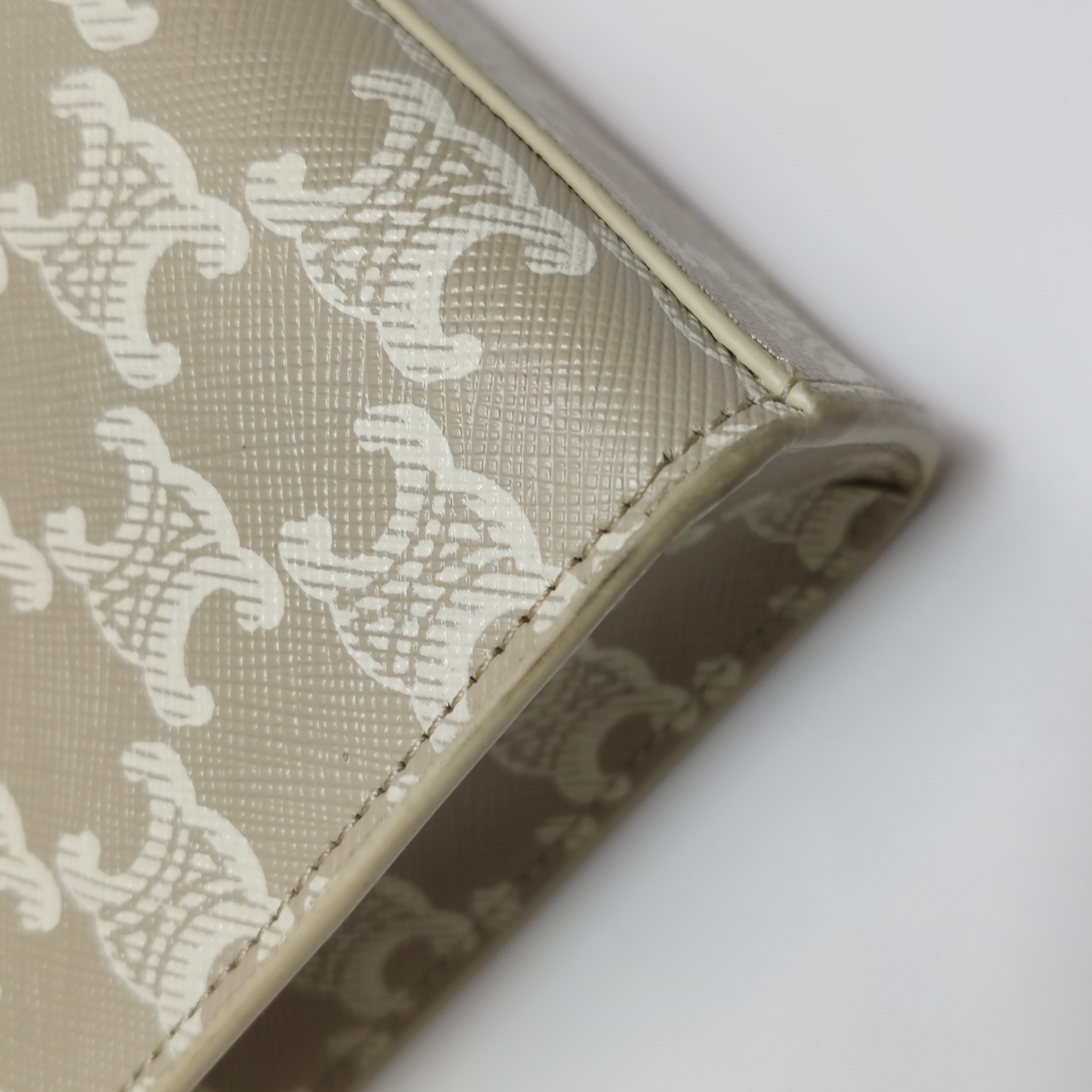 Celine Vertical Cabas Tote Triomphe Coated Canvas Mini — photo 11 of 15