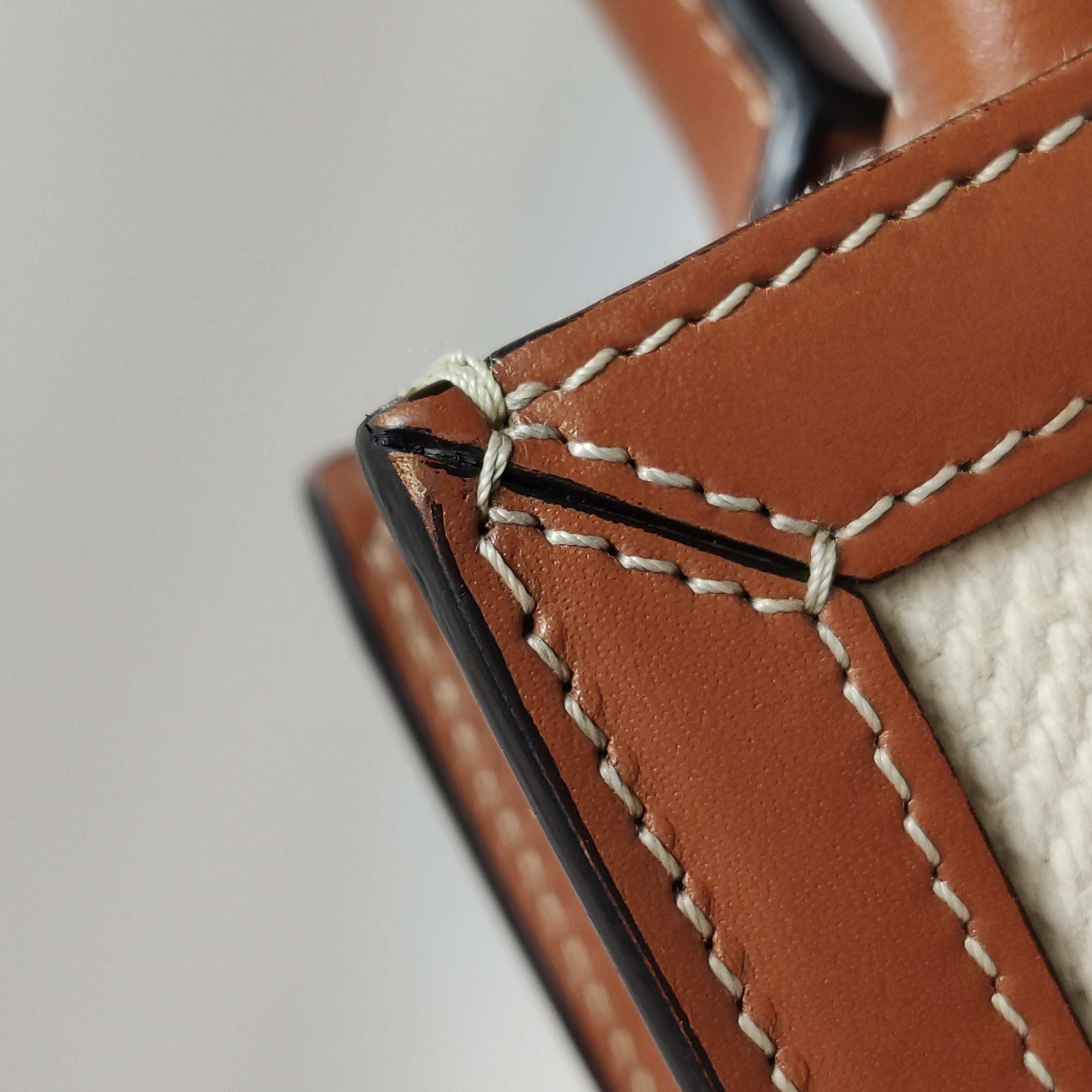 Celine Sulky Vertical Cabas Tote Canvas with Leather Mini — photo 11 of 12