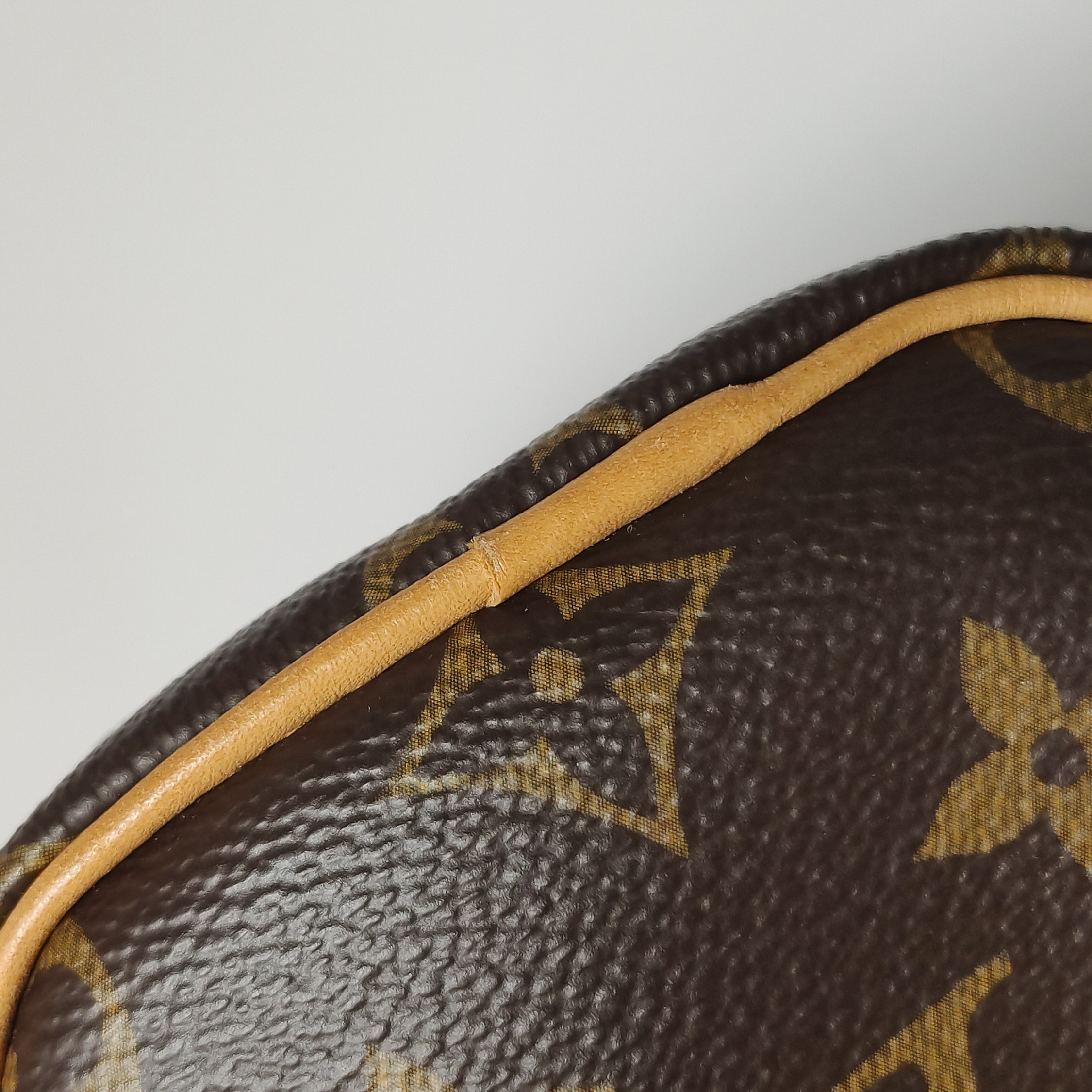 Louis Vuitton(LV) Speedy Bandouliere Bag Monogram Canvas Nano — photo 19 of 23