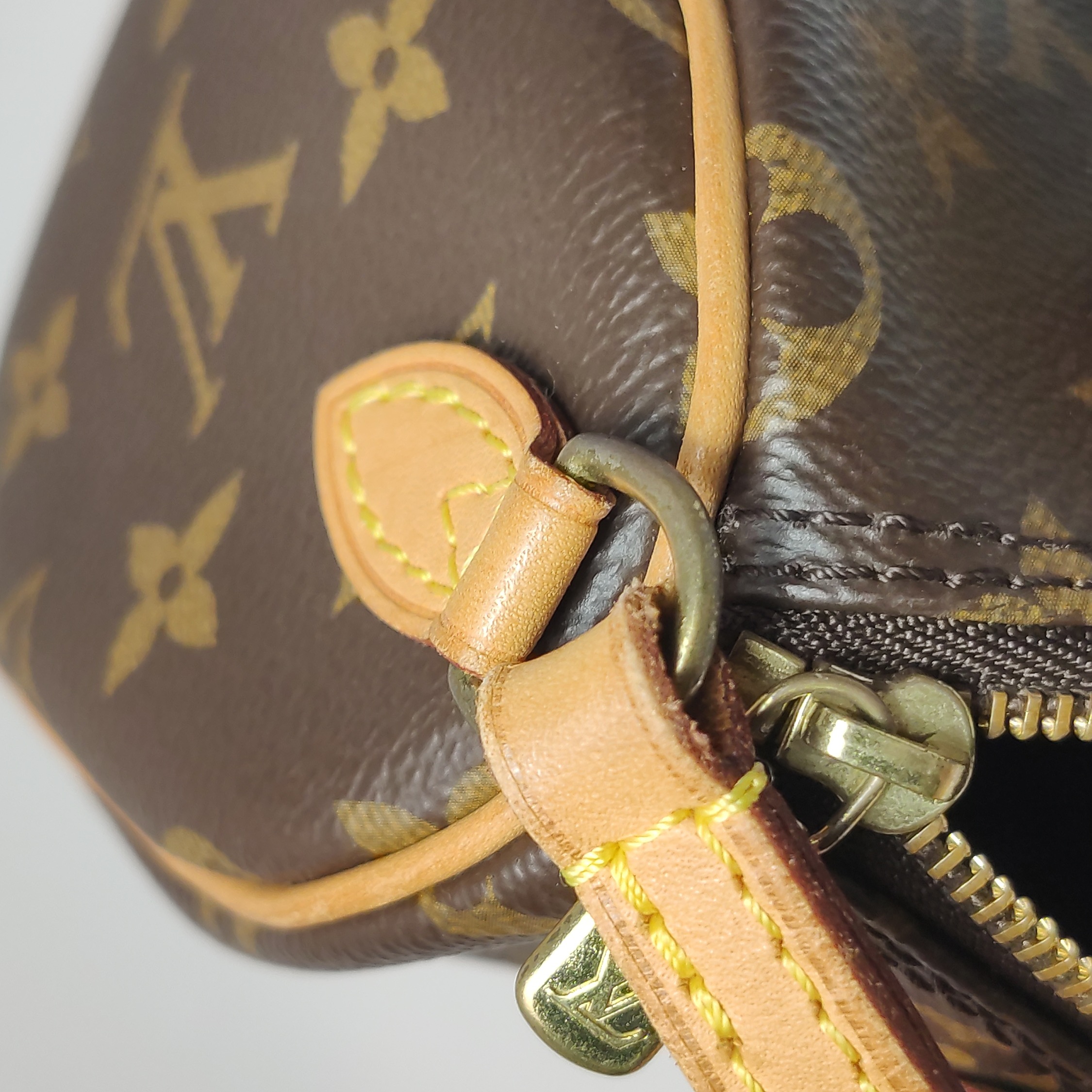 Louis Vuitton(LV) Speedy Bandouliere Bag Monogram Canvas Nano — photo 11 of 23
