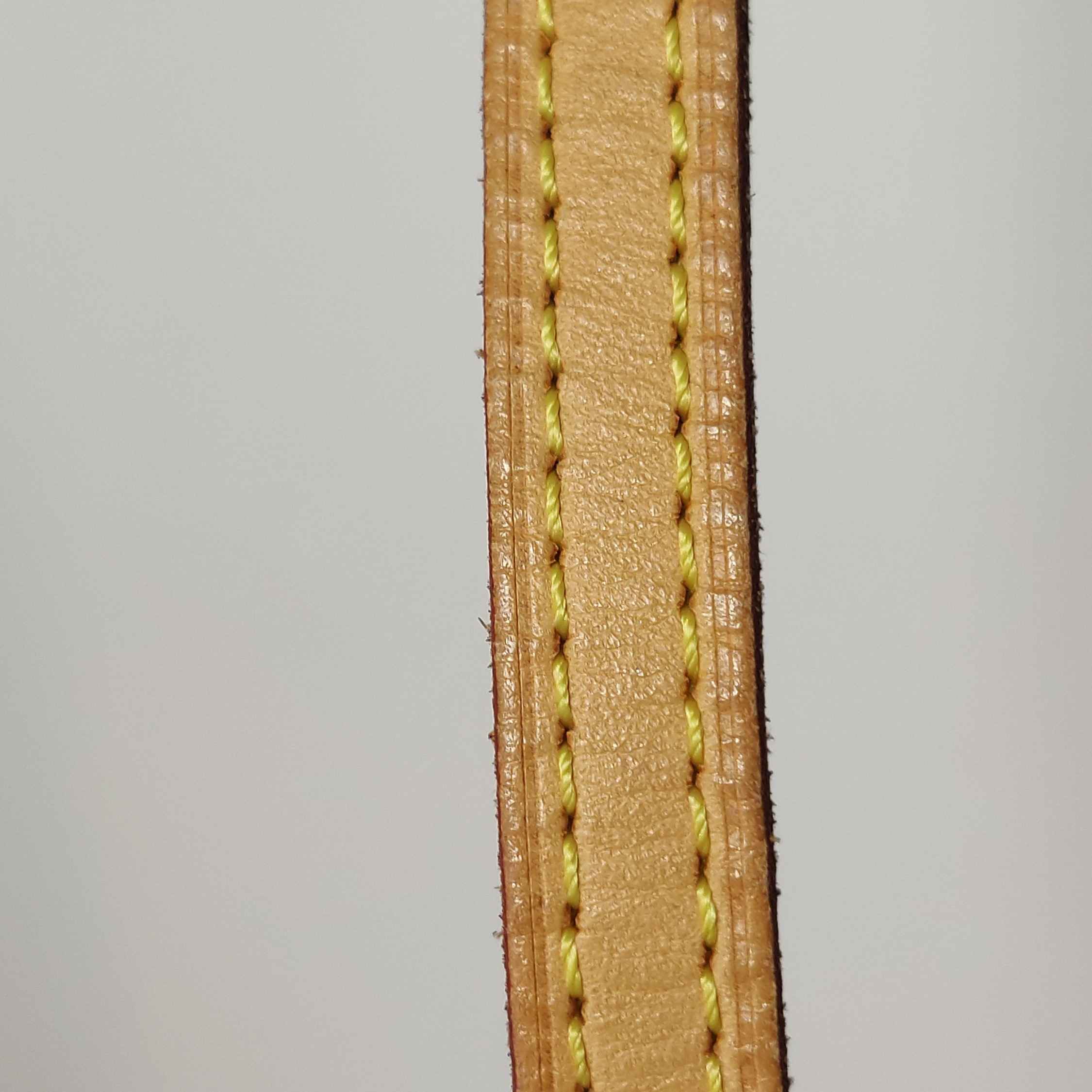 Louis Vuitton(LV) Speedy Bandouliere Bag Monogram Canvas Nano — photo 23 of 23