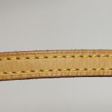 Louis Vuitton(LV) Speedy Bandouliere Bag Monogram Canvas Nano — thumbnail 23