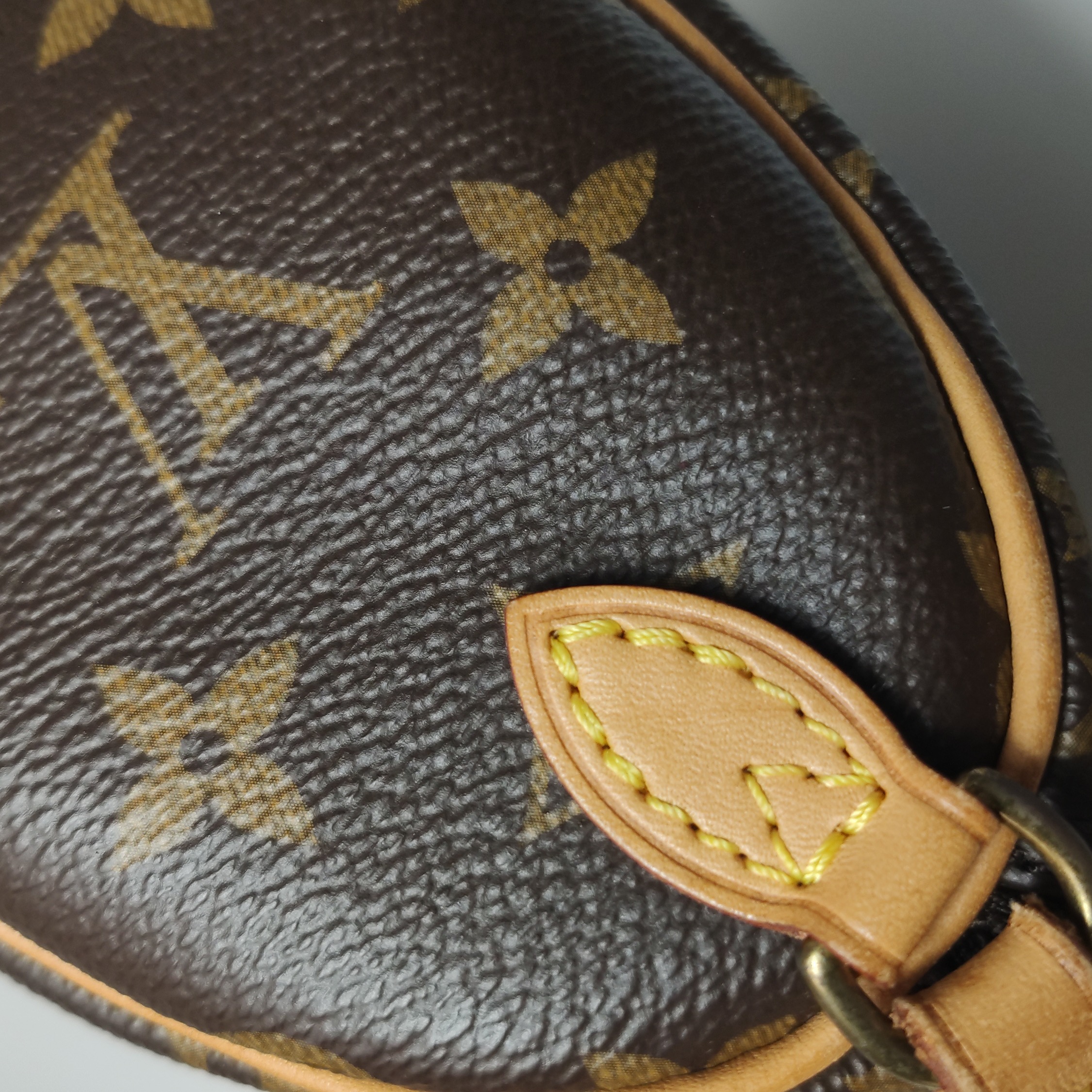 Louis Vuitton(LV) Speedy Bandouliere Bag Monogram Canvas Nano — photo 18 of 23