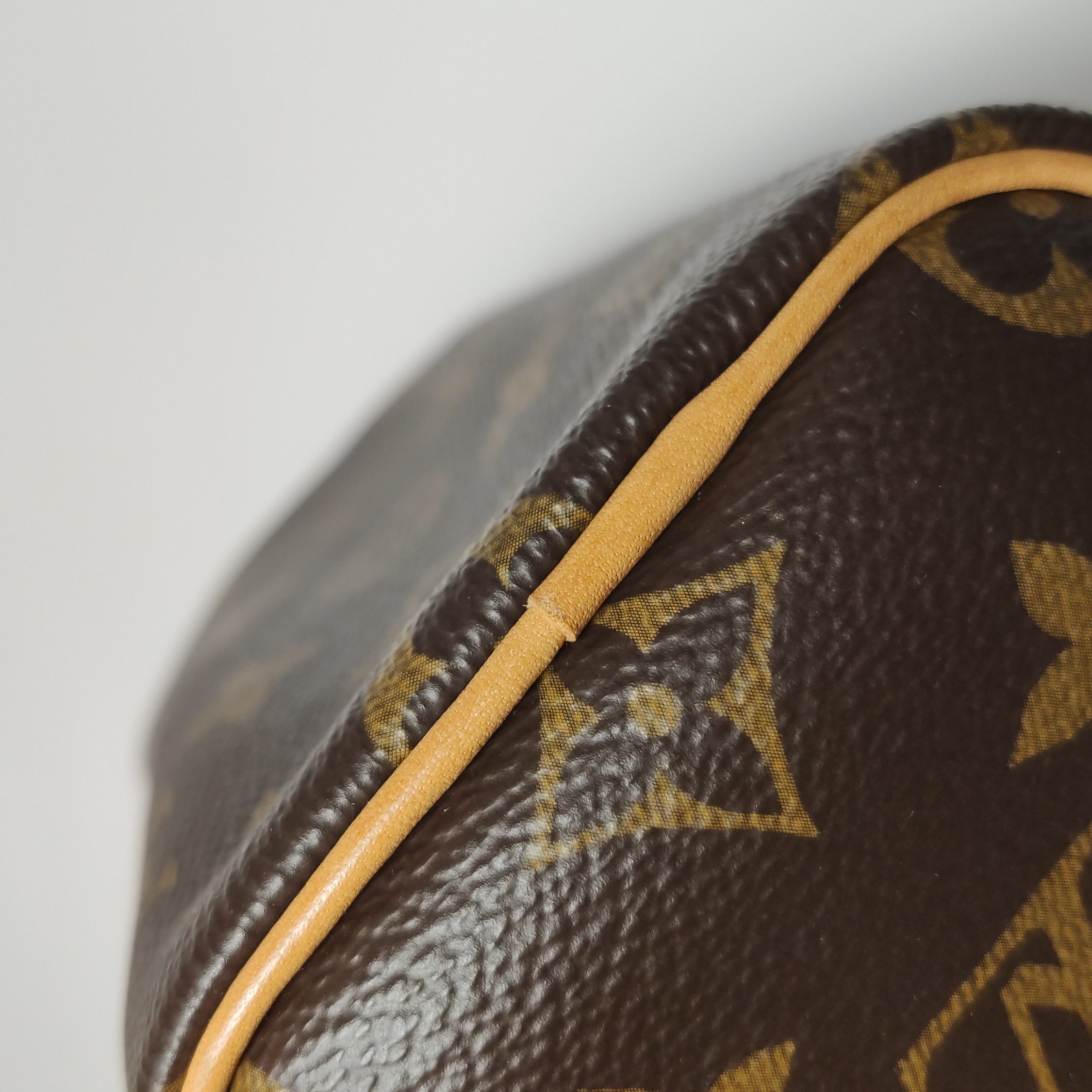 Louis Vuitton(LV) Speedy Bandouliere Bag Monogram Canvas Nano — photo 12 of 23