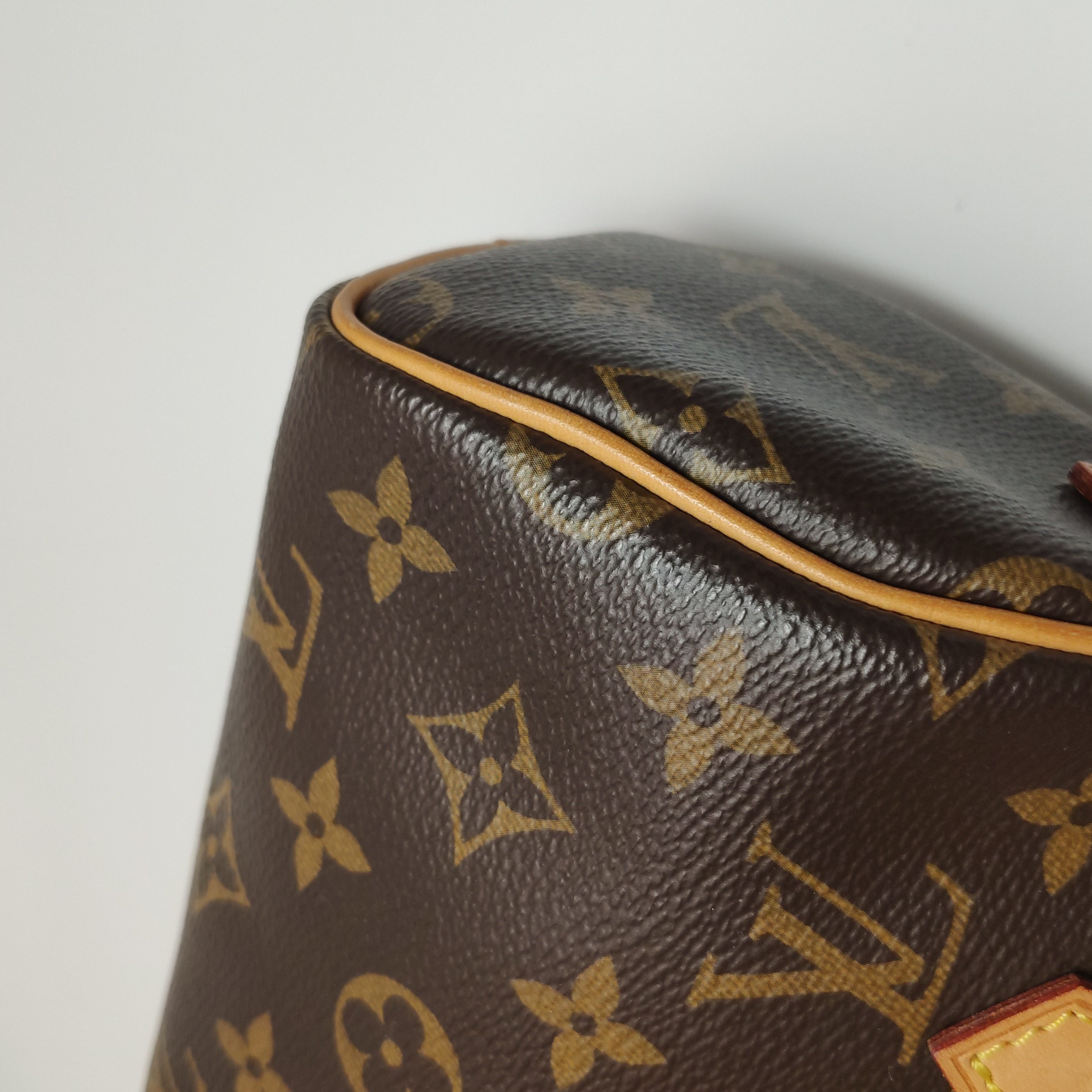 Louis Vuitton(LV) Speedy Bandouliere Bag Monogram Canvas Nano — photo 21 of 23