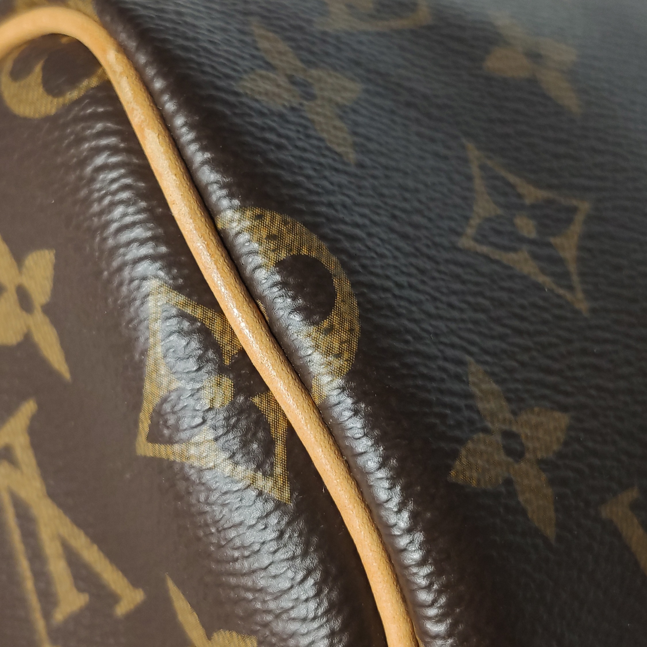 Louis Vuitton(LV) Speedy Bandouliere Bag Monogram Canvas Nano — photo 16 of 23