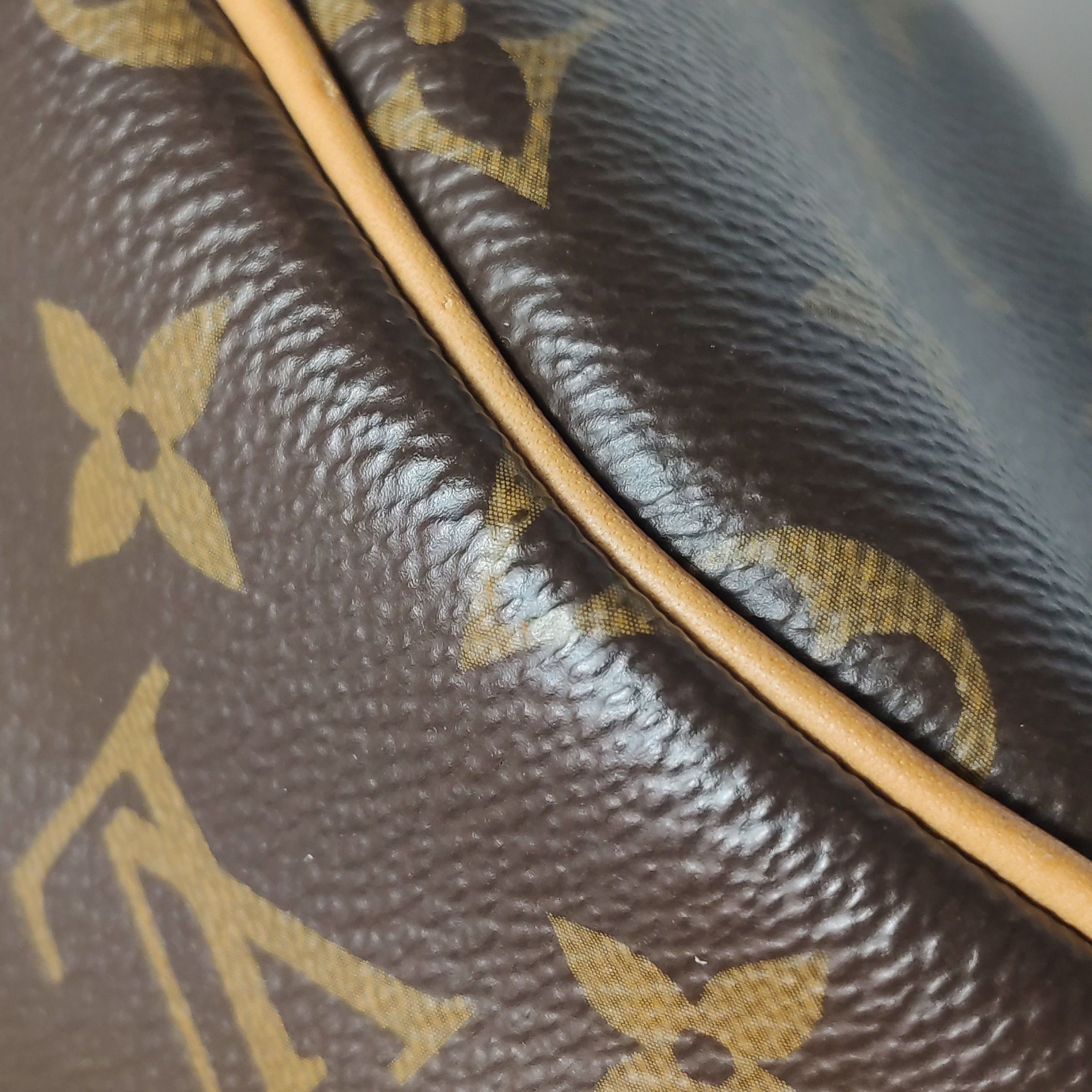 Louis Vuitton(LV) Speedy Bandouliere Bag Monogram Canvas Nano — photo 17 of 23