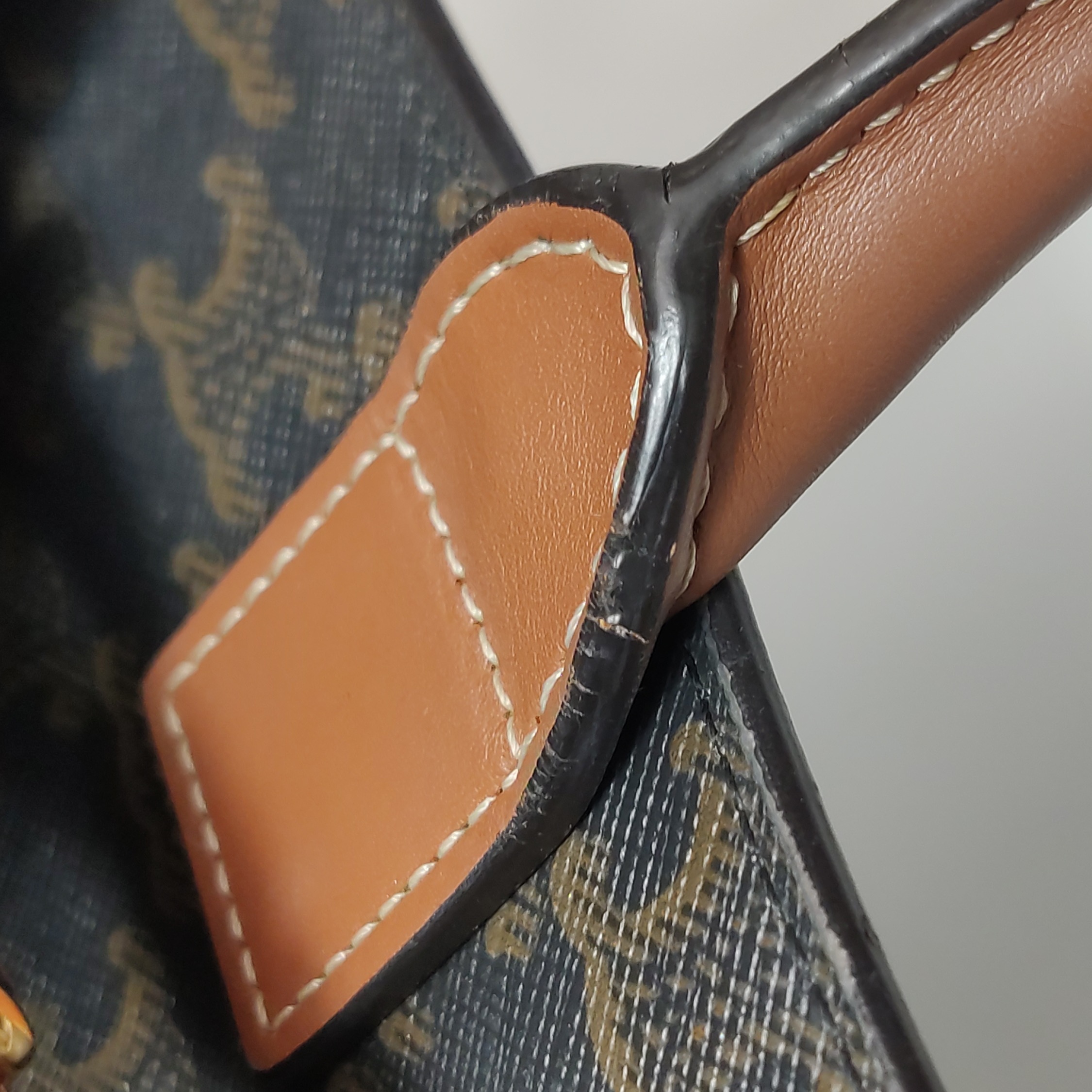 Celine Vertical Cabas Tote Triomphe Coated Canvas Mini — photo 17 of 20