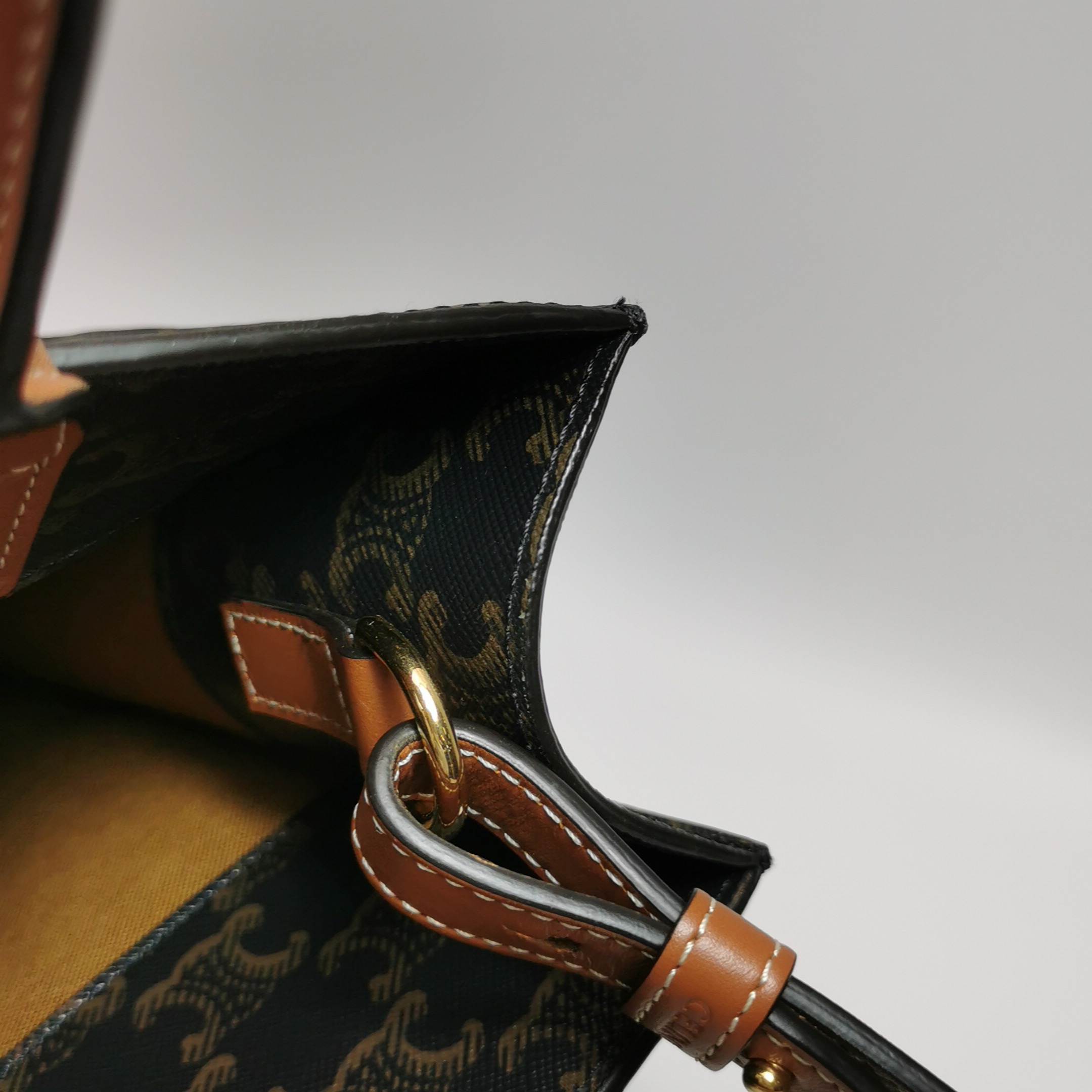 Celine Vertical Cabas Tote Triomphe Coated Canvas Mini — photo 16 of 20