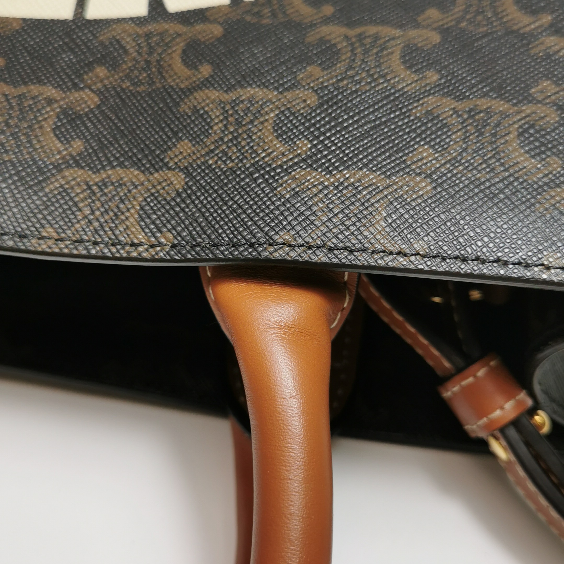 Celine Vertical Cabas Tote Triomphe Coated Canvas Mini — photo 20 of 20