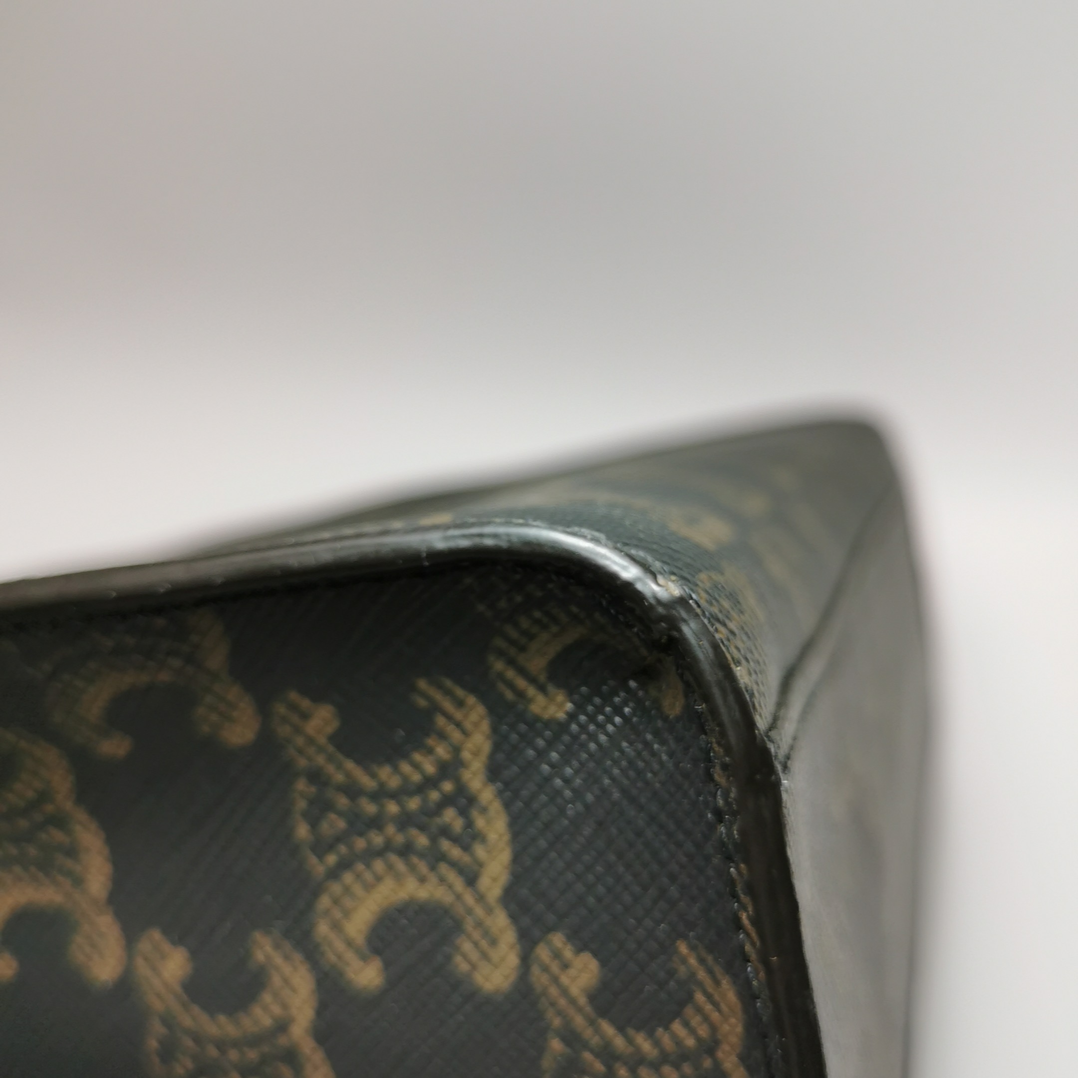 Celine Vertical Cabas Tote Triomphe Coated Canvas Mini — photo 11 of 20