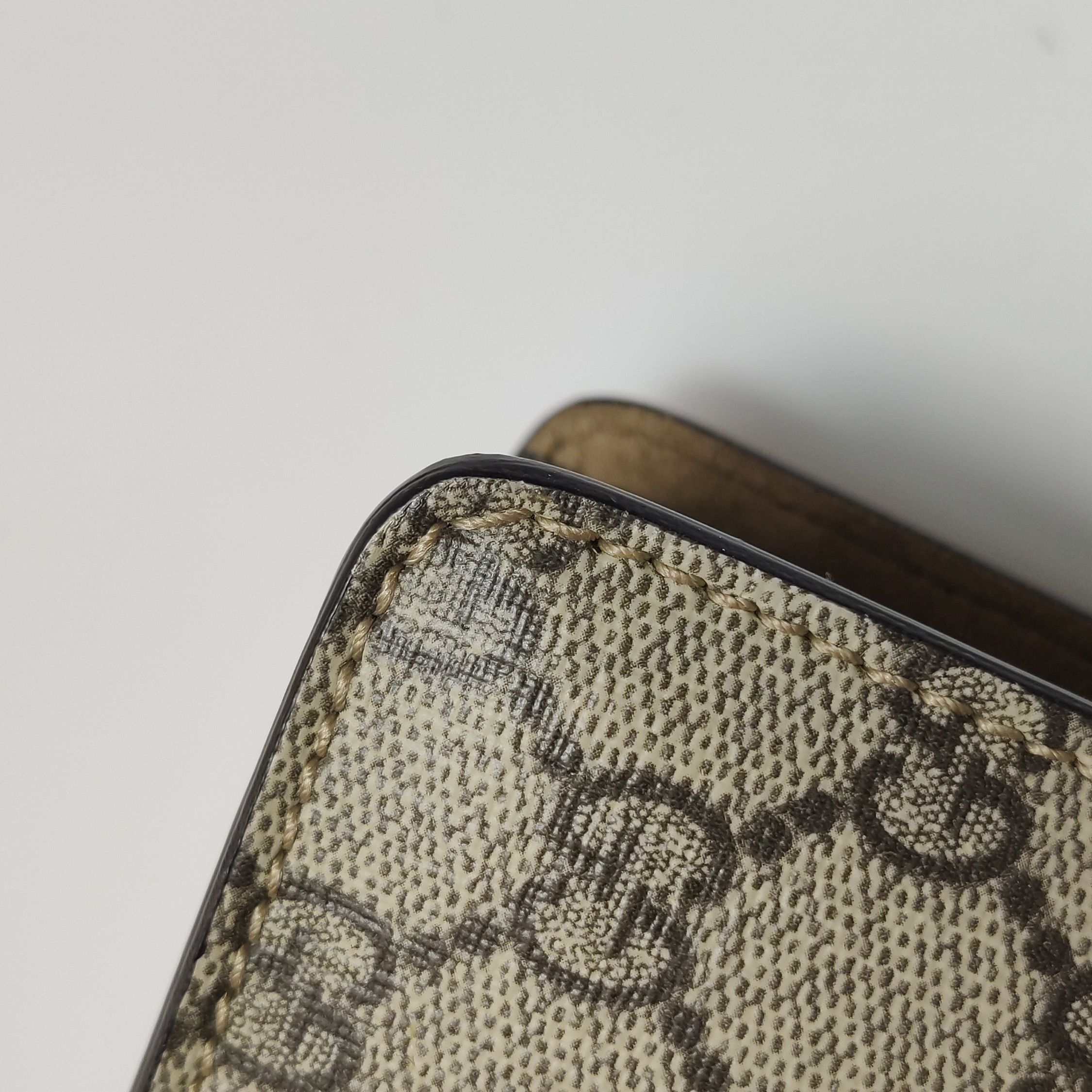 Gucci Dionysus Bag GG Coated Canvas with Crystal Embellished Metal — photo 21 of 22