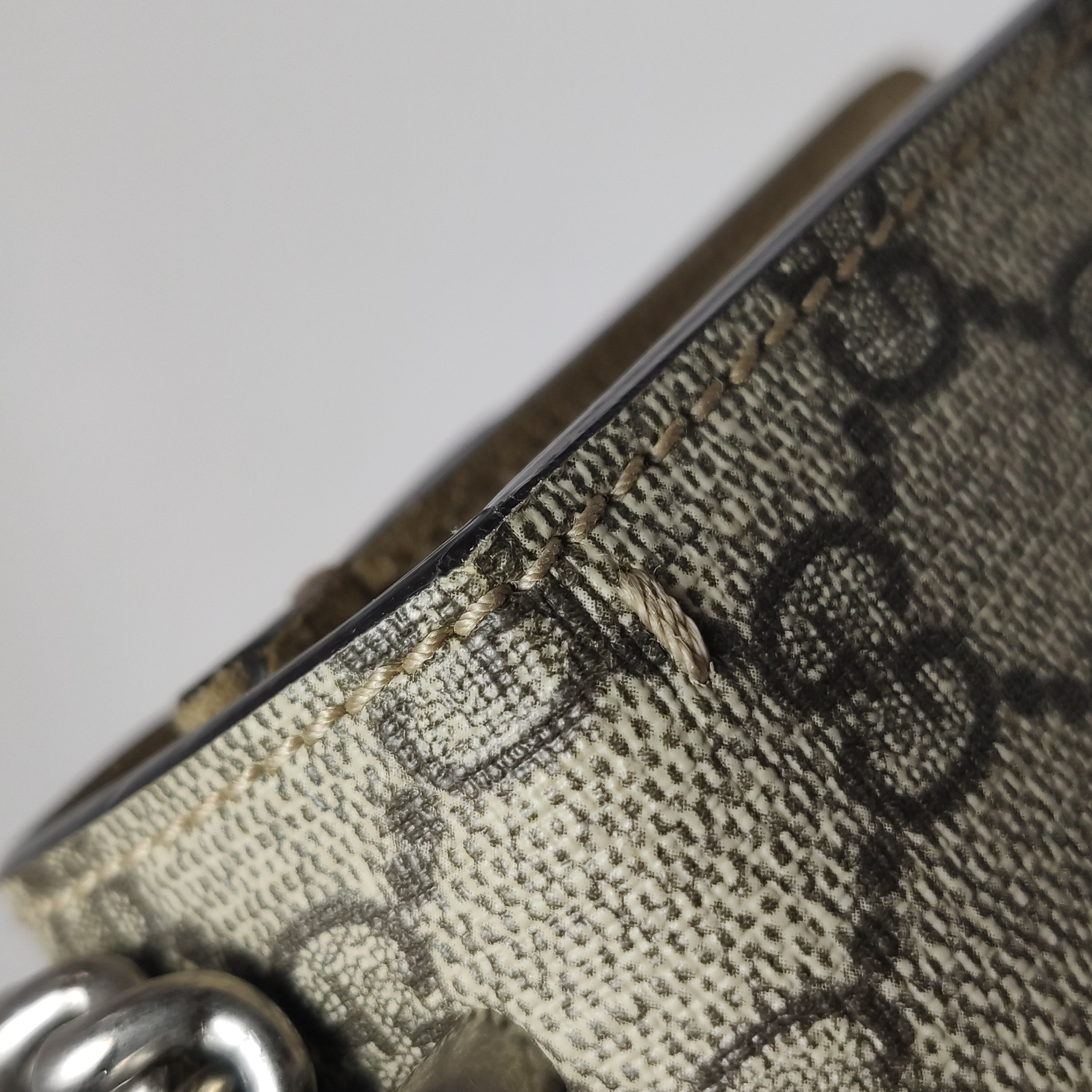 Gucci Dionysus Bag GG Coated Canvas with Crystal Embellished Metal — photo 18 of 22