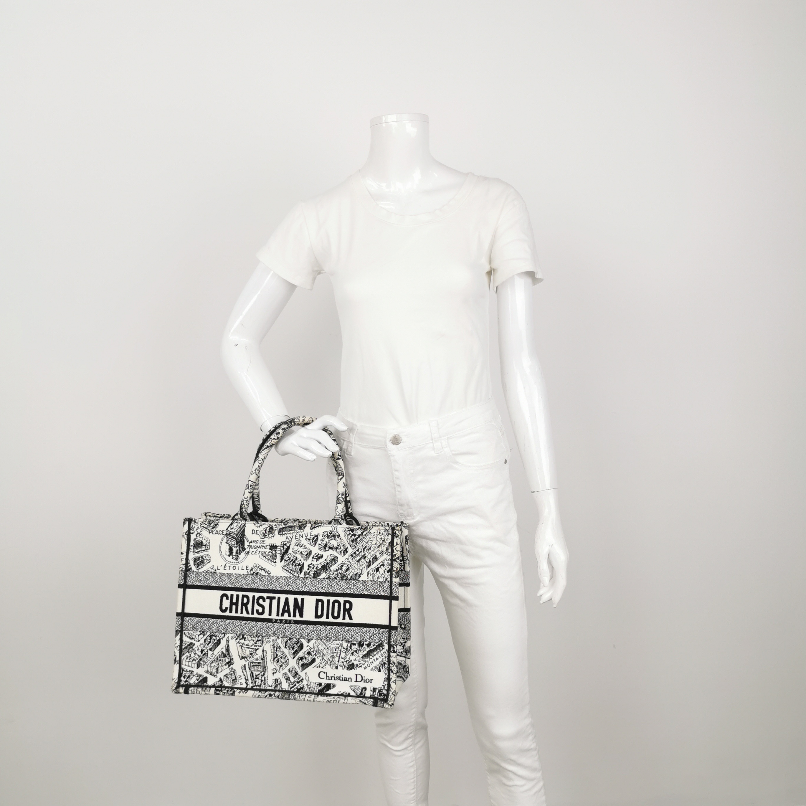 Christian Dior Book Tote Embroidered Canvas Medium — alternate view