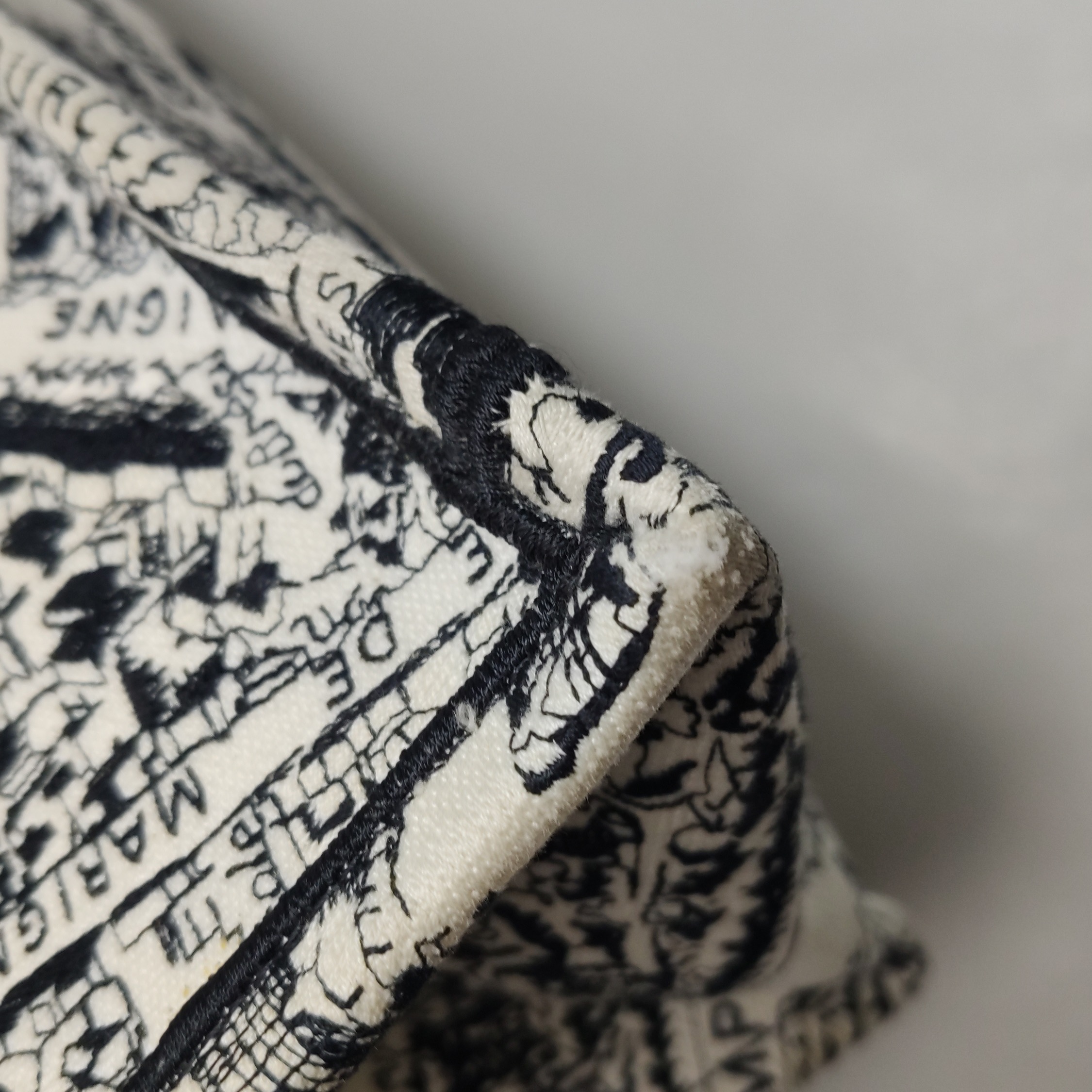 Christian Dior Book Tote Embroidered Canvas Medium — photo 11 of 24