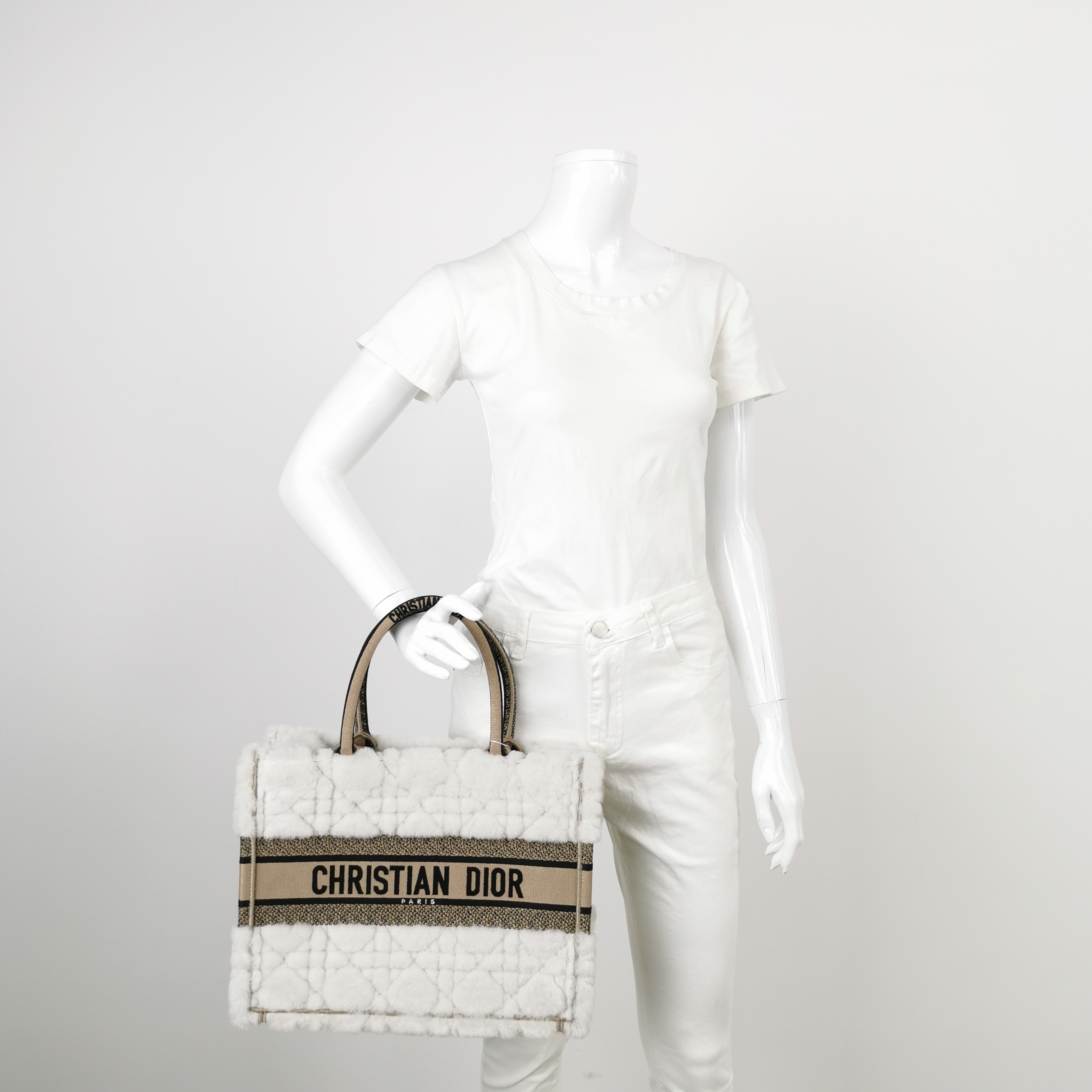 Christian Dior Book Tote Embroidered Canvas Medium — alternate view