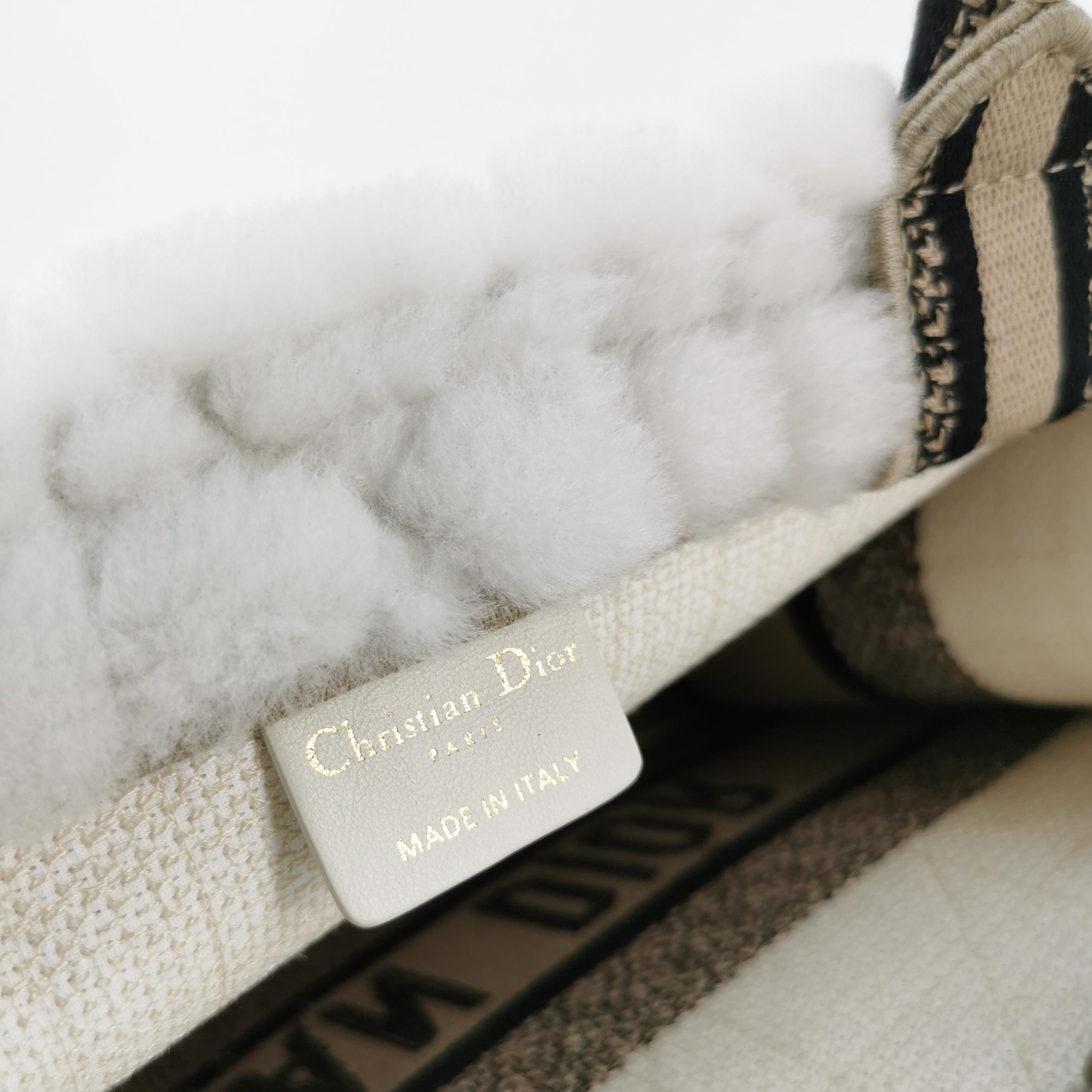 Christian Dior Book Tote Embroidered Canvas Medium — photo 8 of 19