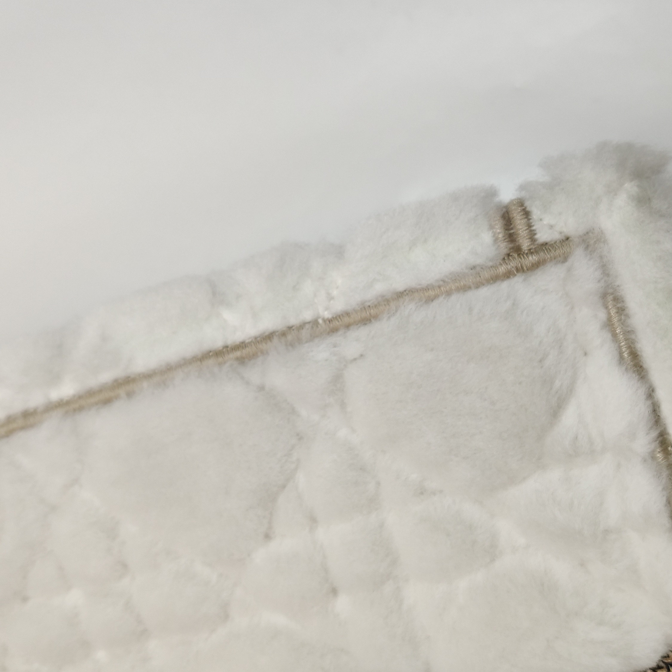Christian Dior Book Tote Embroidered Canvas Medium — photo 14 of 19