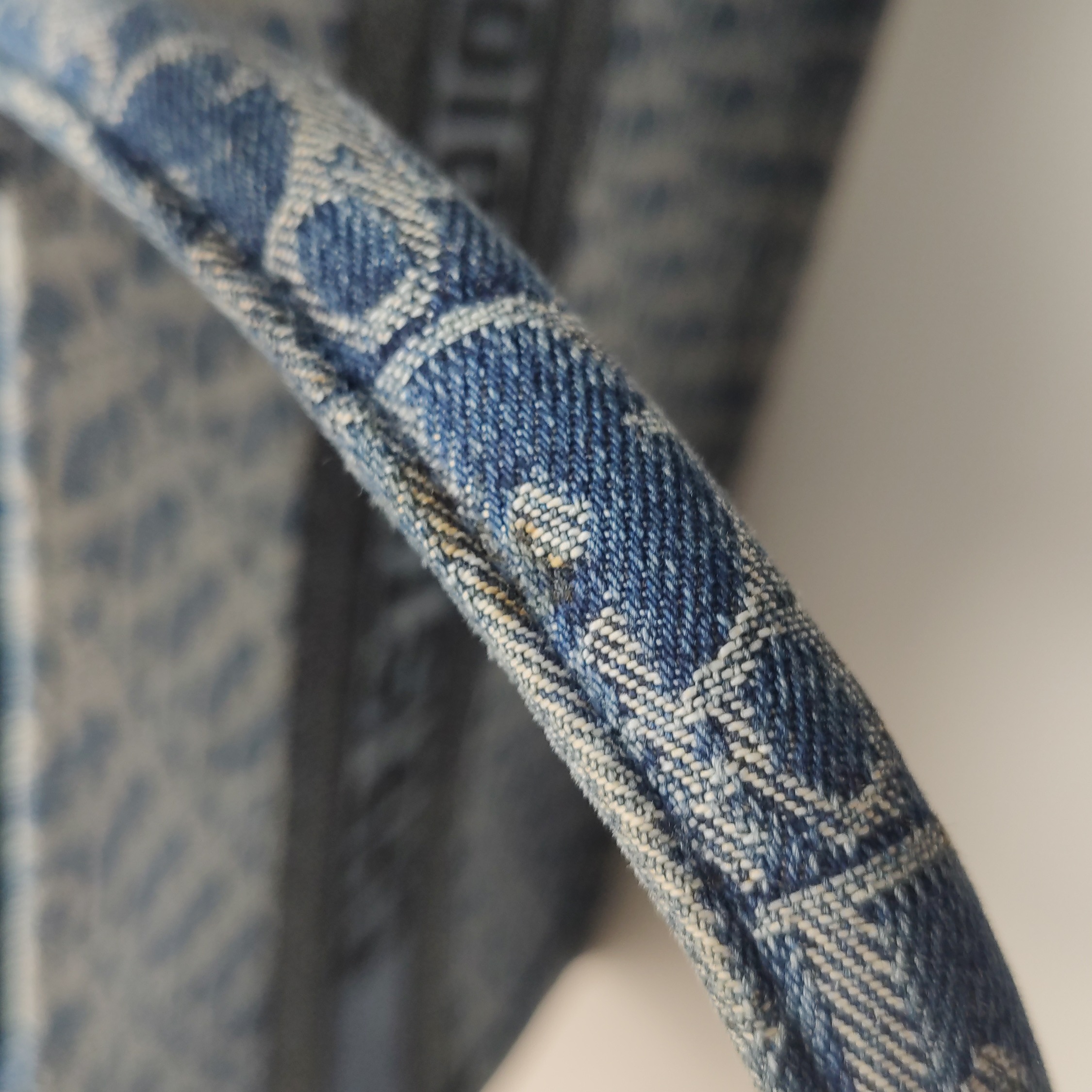 Christian Dior Book Tote Embroidered Canvas Medium — photo 17 of 17