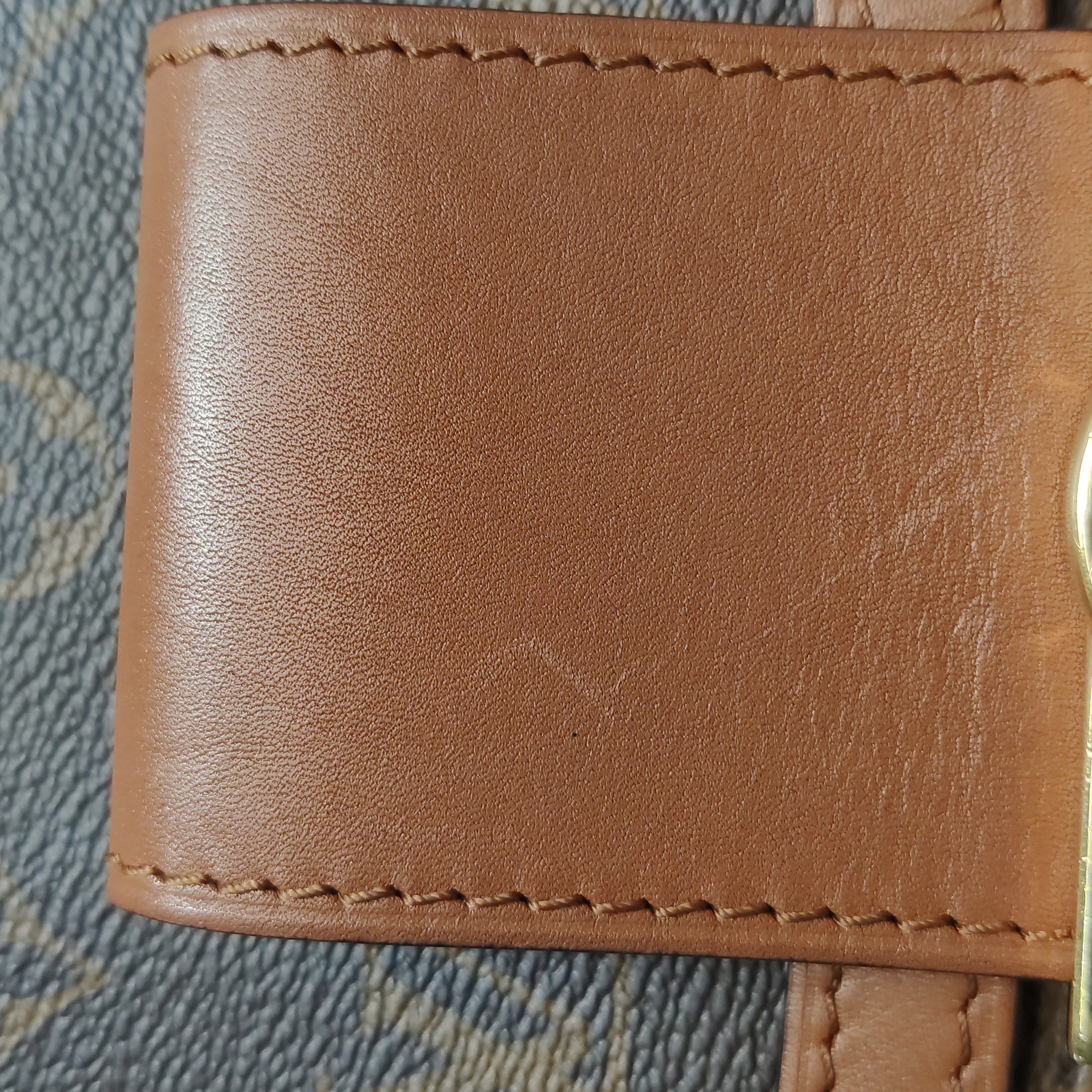 Louis Vuitton(LV) Dauphine Shoulder Bag Reverse Monogram Canvas MM — photo 21 of 23